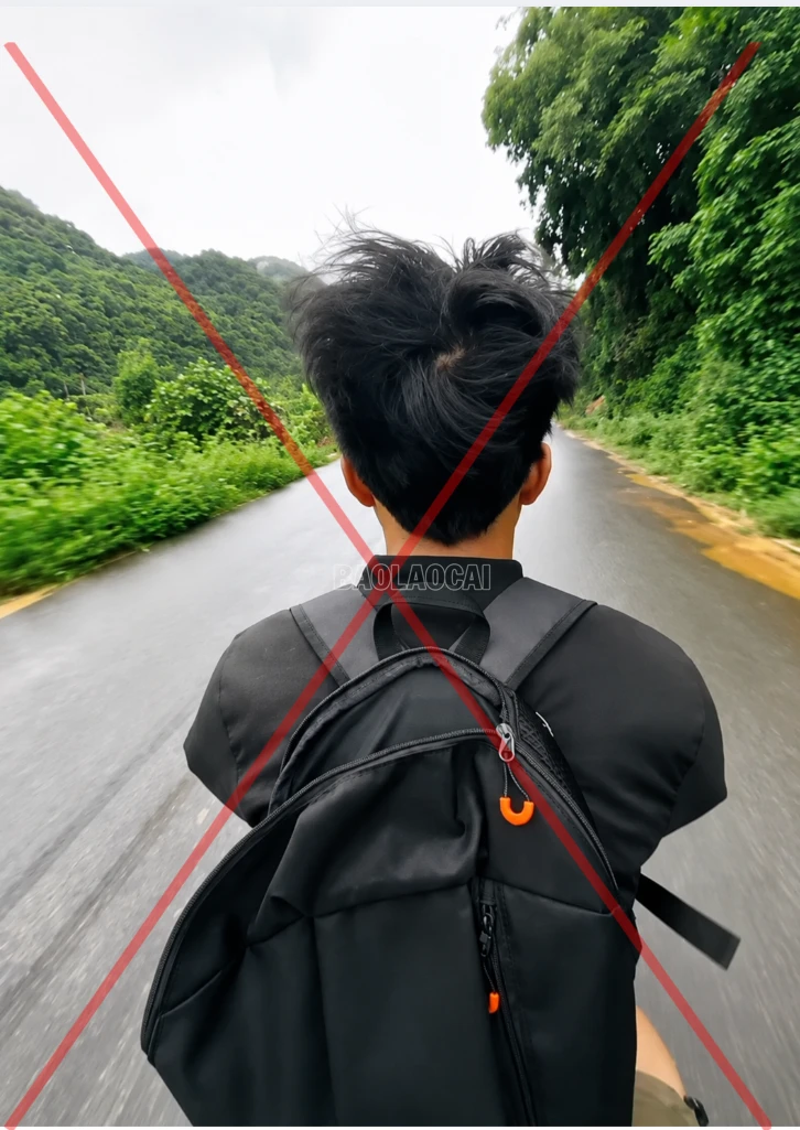 baolaocai-c_anh-1.png