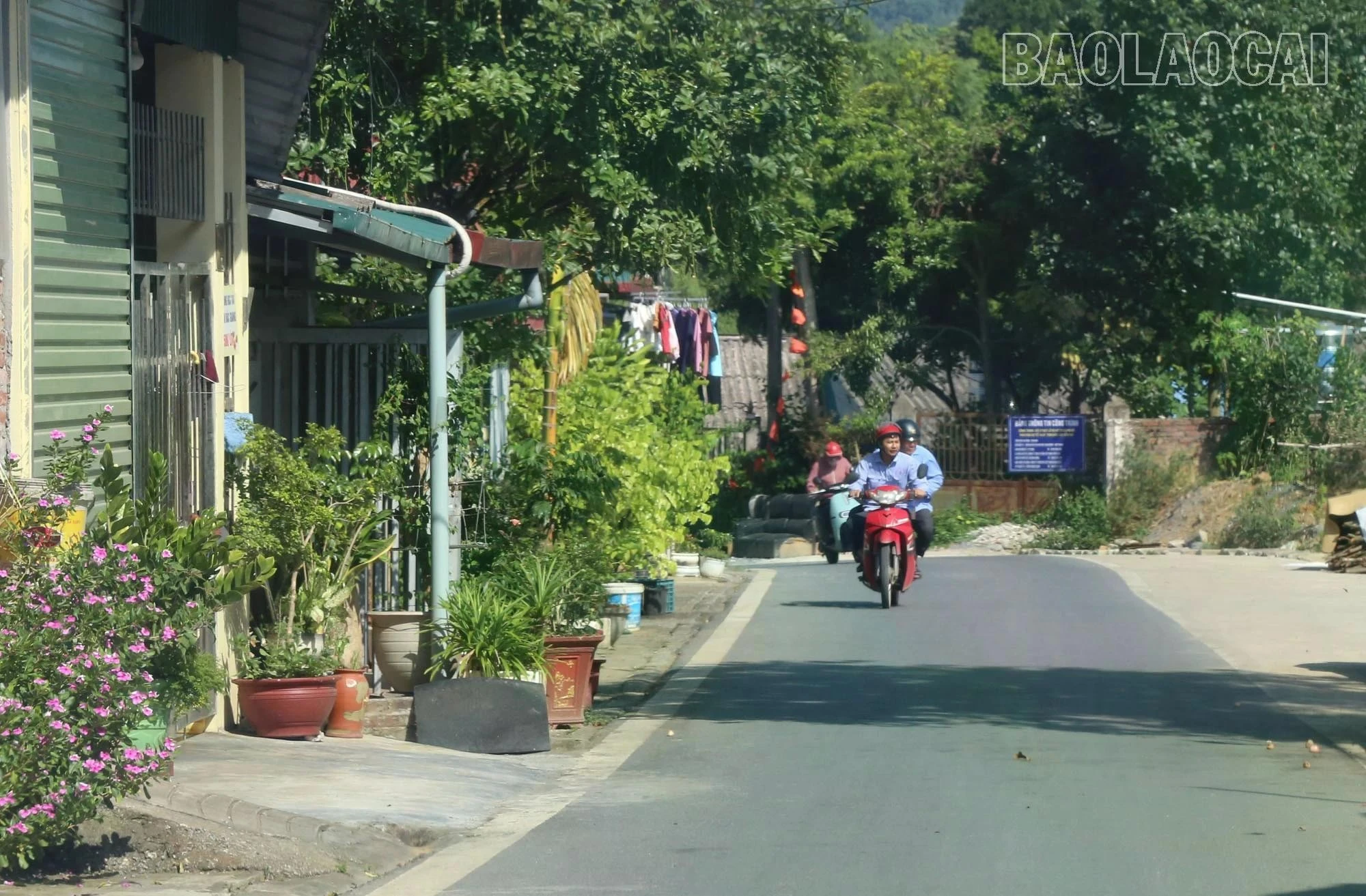 nangnong.jpg