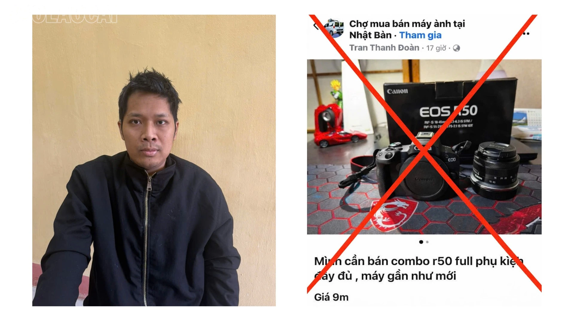 baolaocai-tl_ghep.png