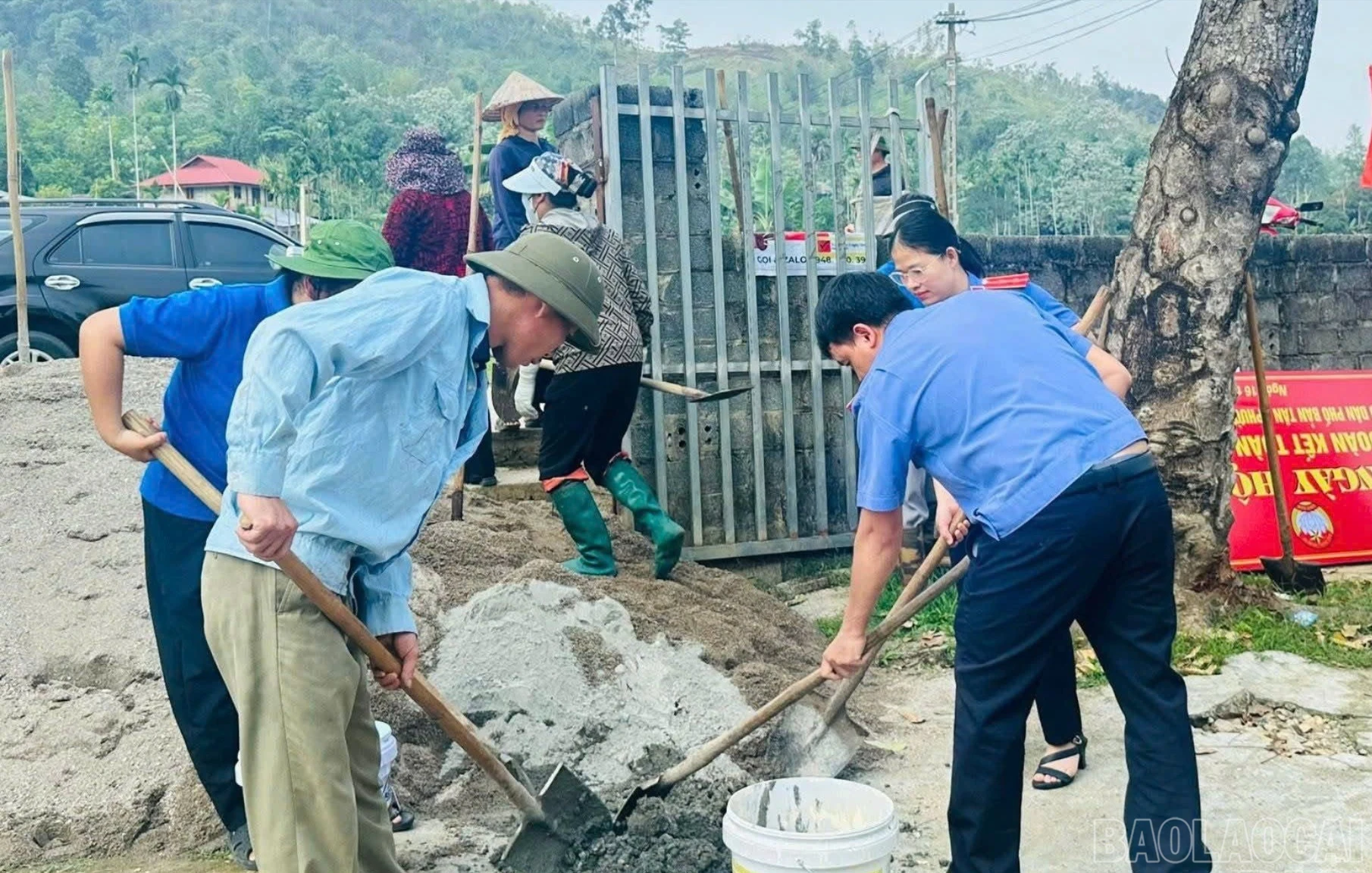 baolaocai-br-nghialo-2.jpg