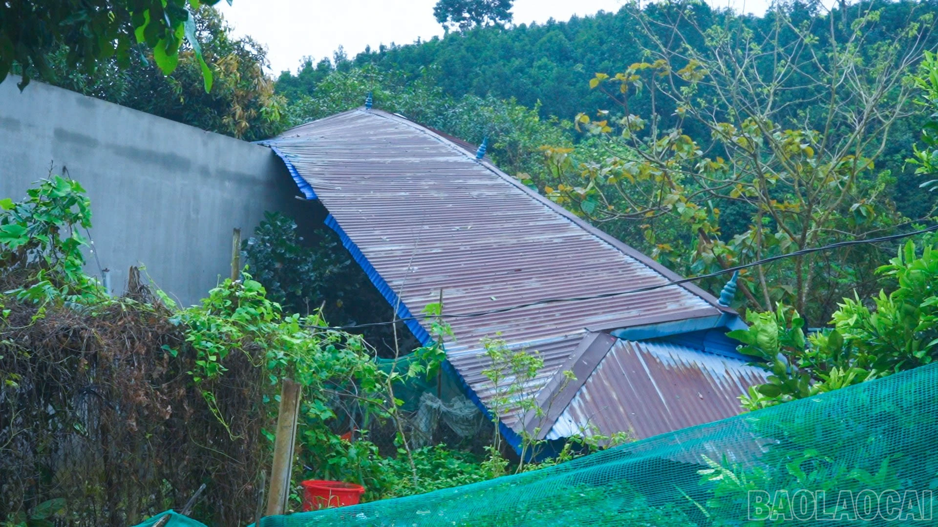 baolaocai-br_c2589mp4-snapshot-0000574.jpg