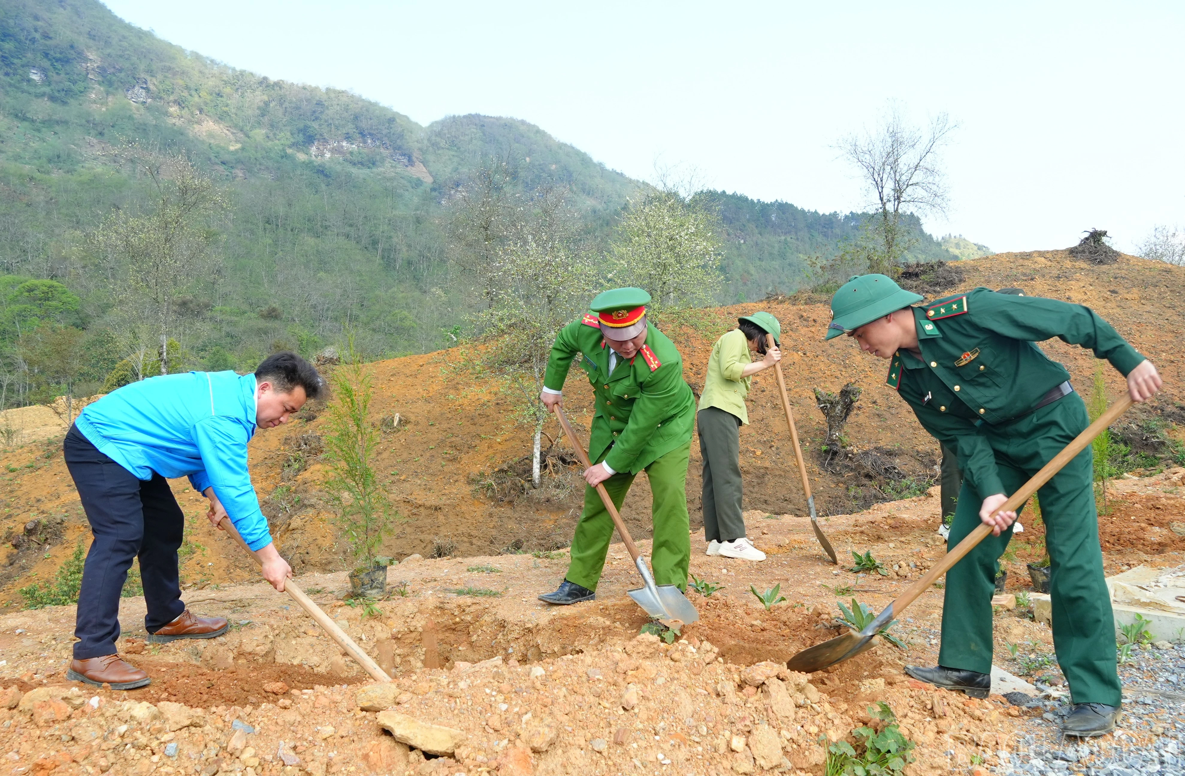 baolaocai-br_dsc07337.jpg