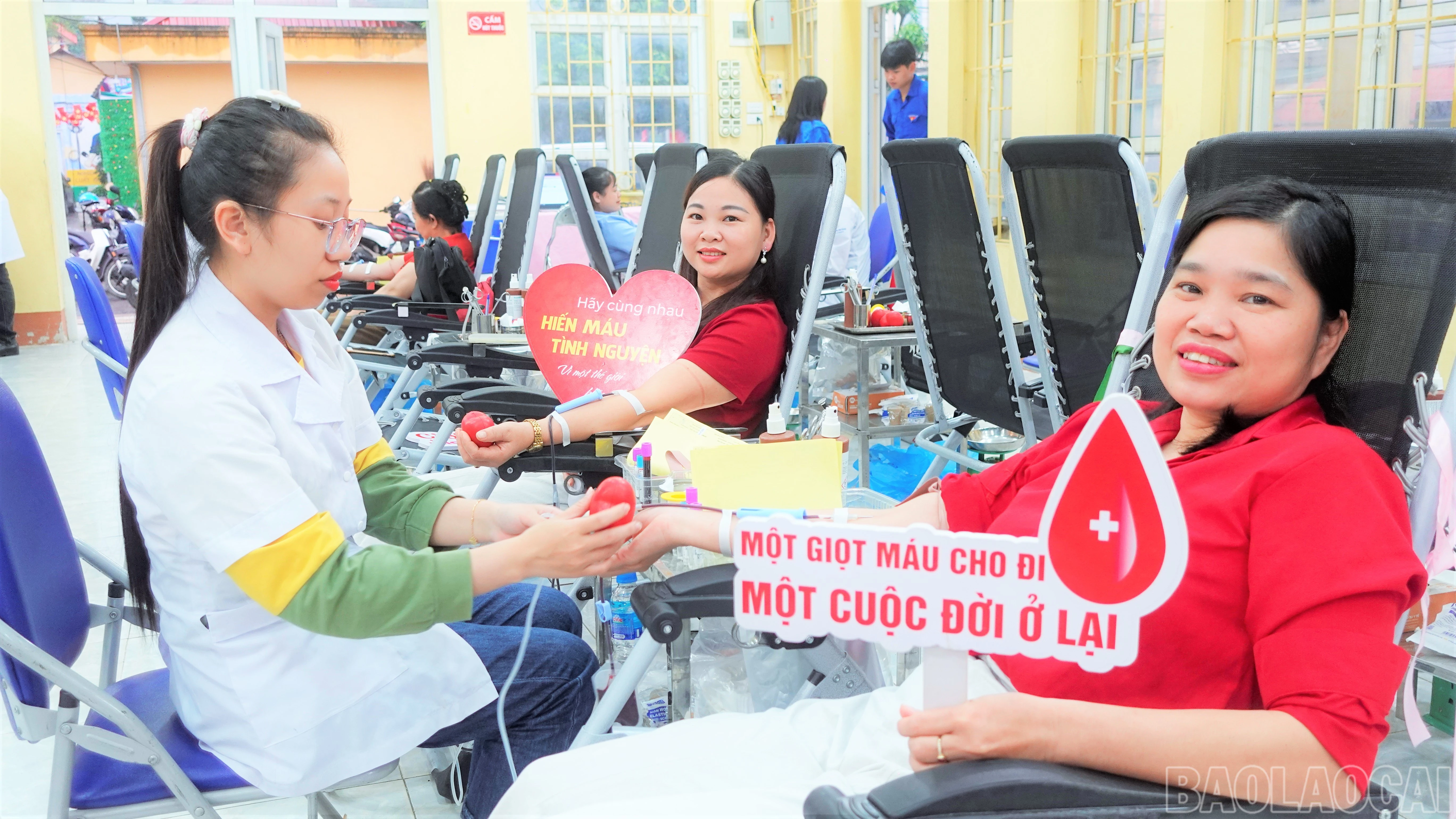 baolaocai-br_congchuc-1.jpg
