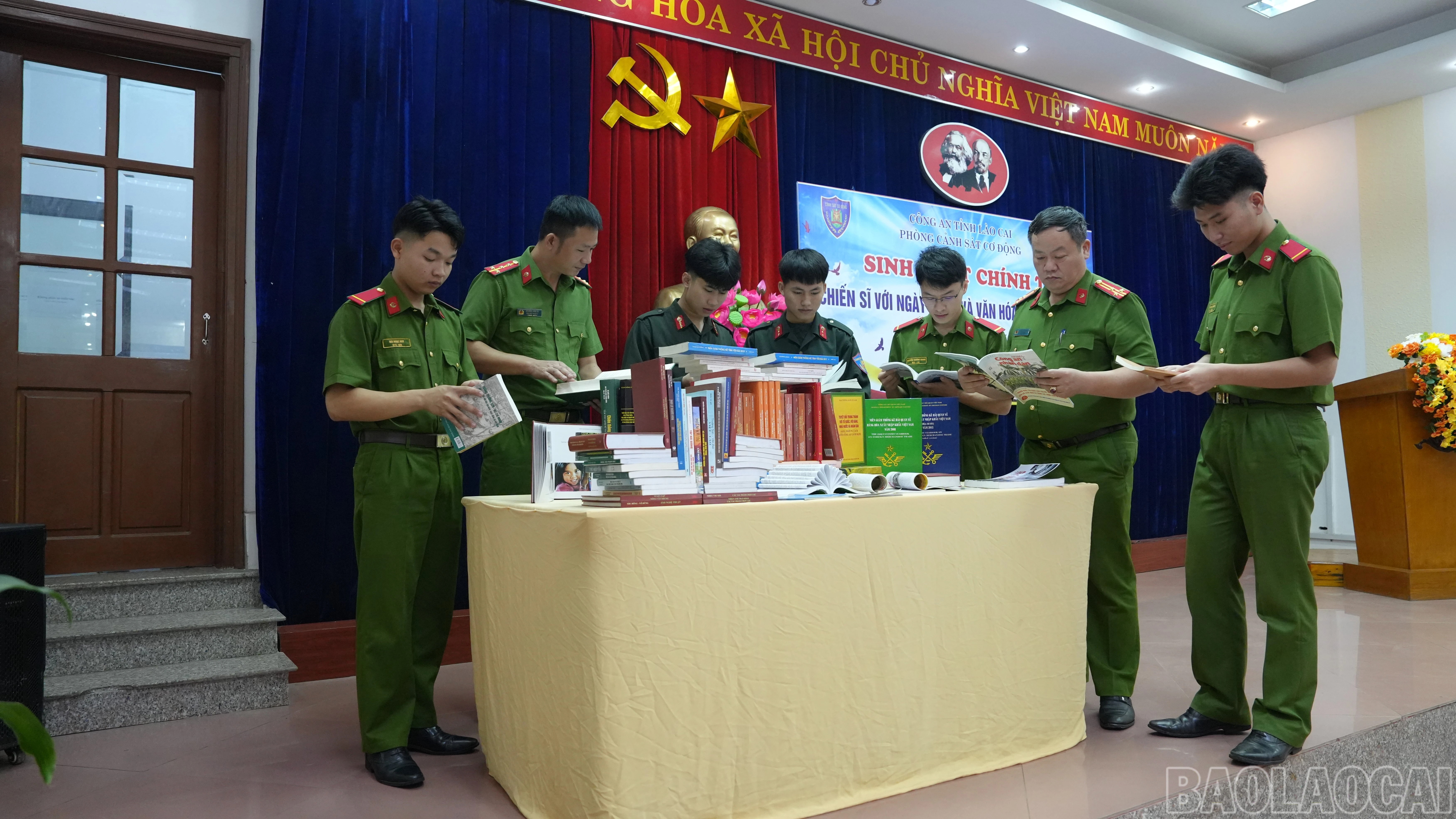 baolaocai-br_anh-7.jpg