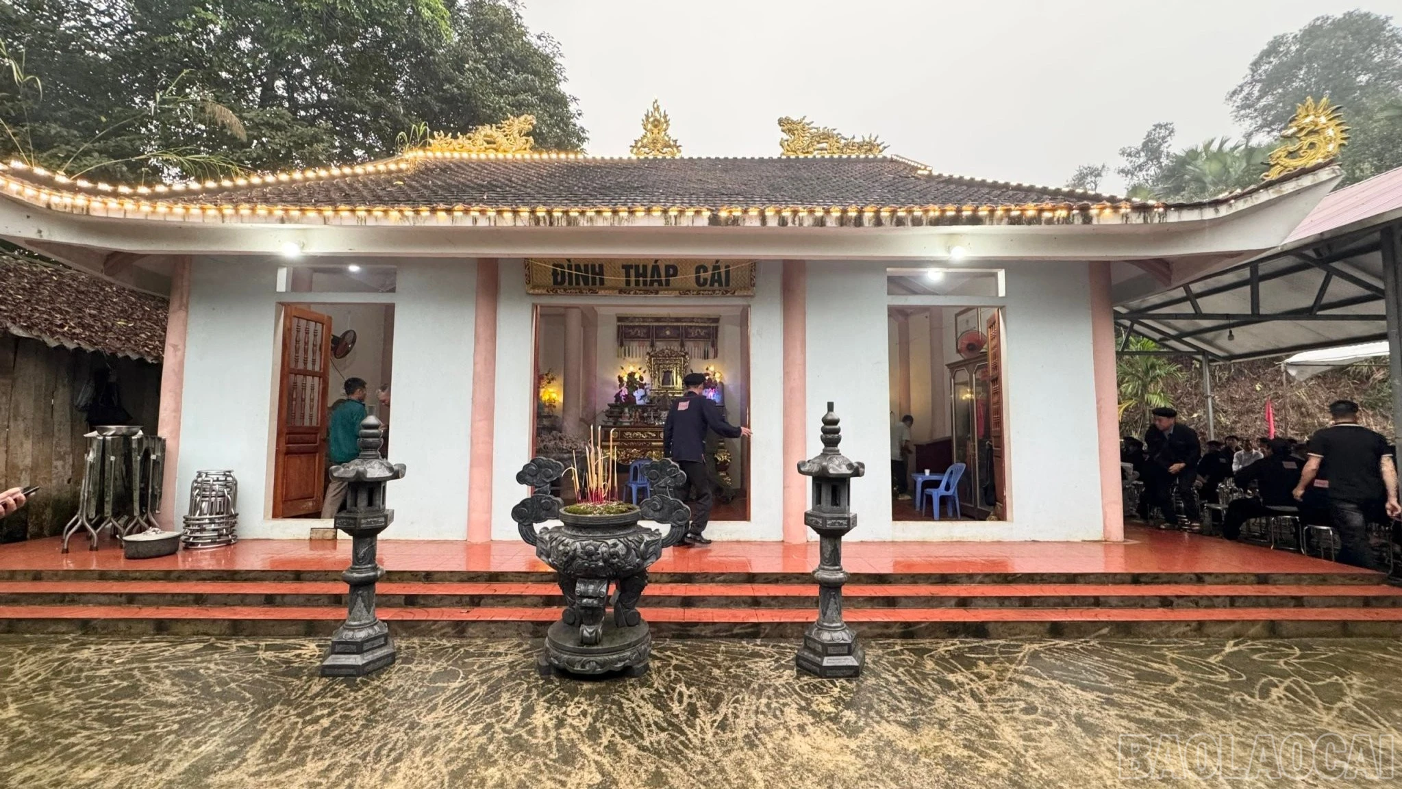 baolaocai-br_dinhthapcai-7534.jpg