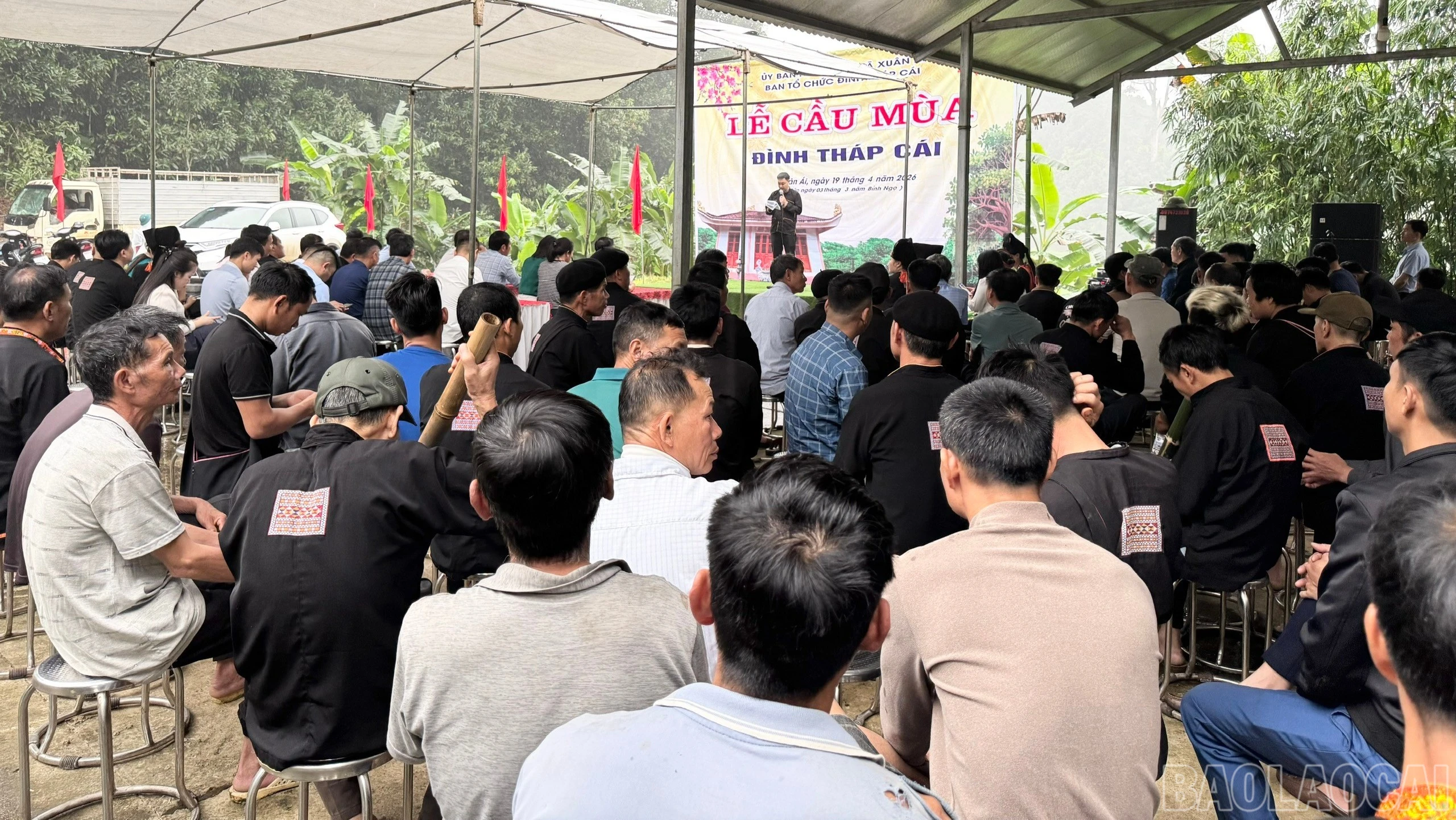 baolaocai-br_quangcanhle-9535.jpg