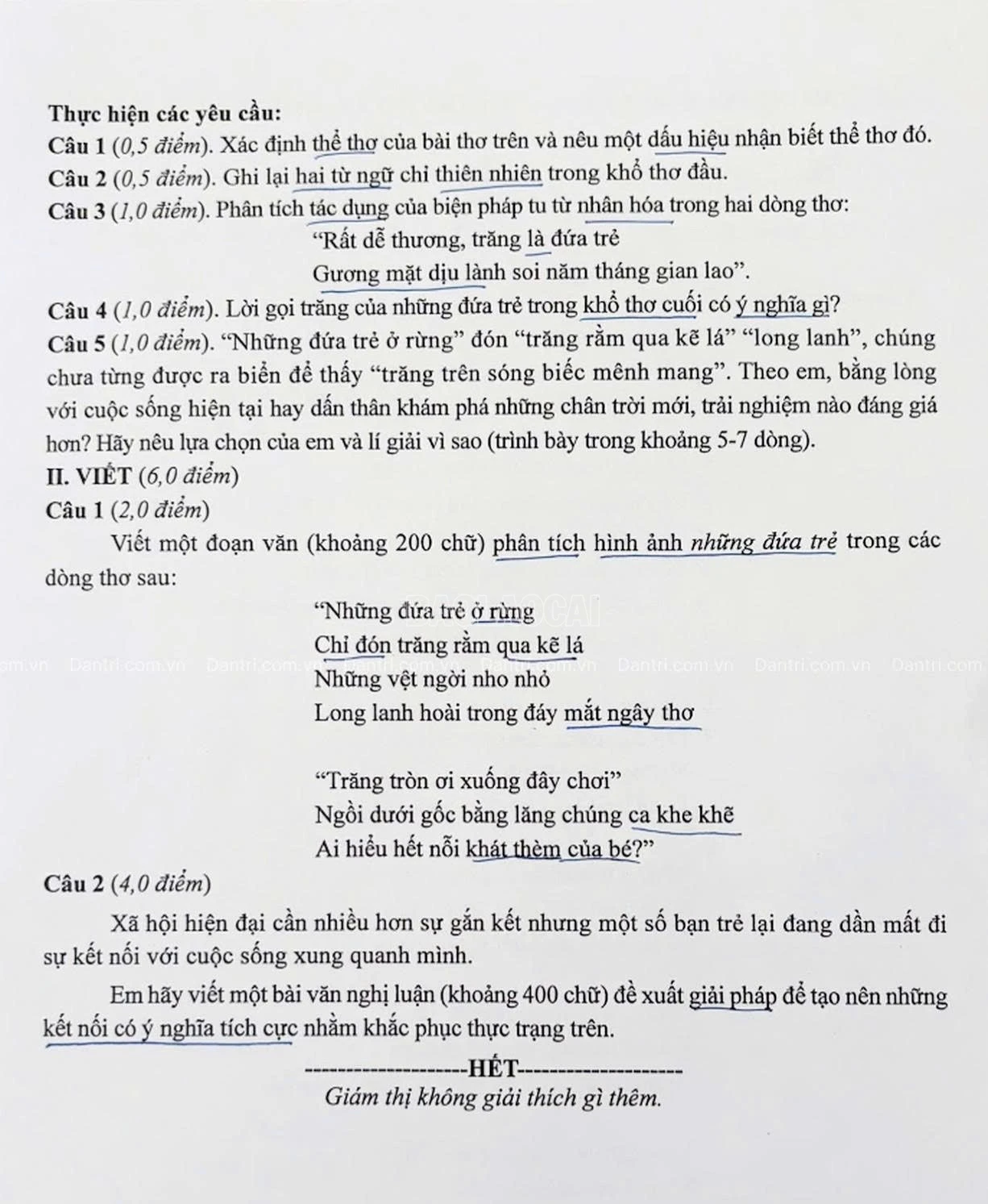 baolaocai-c_anh2.jpg