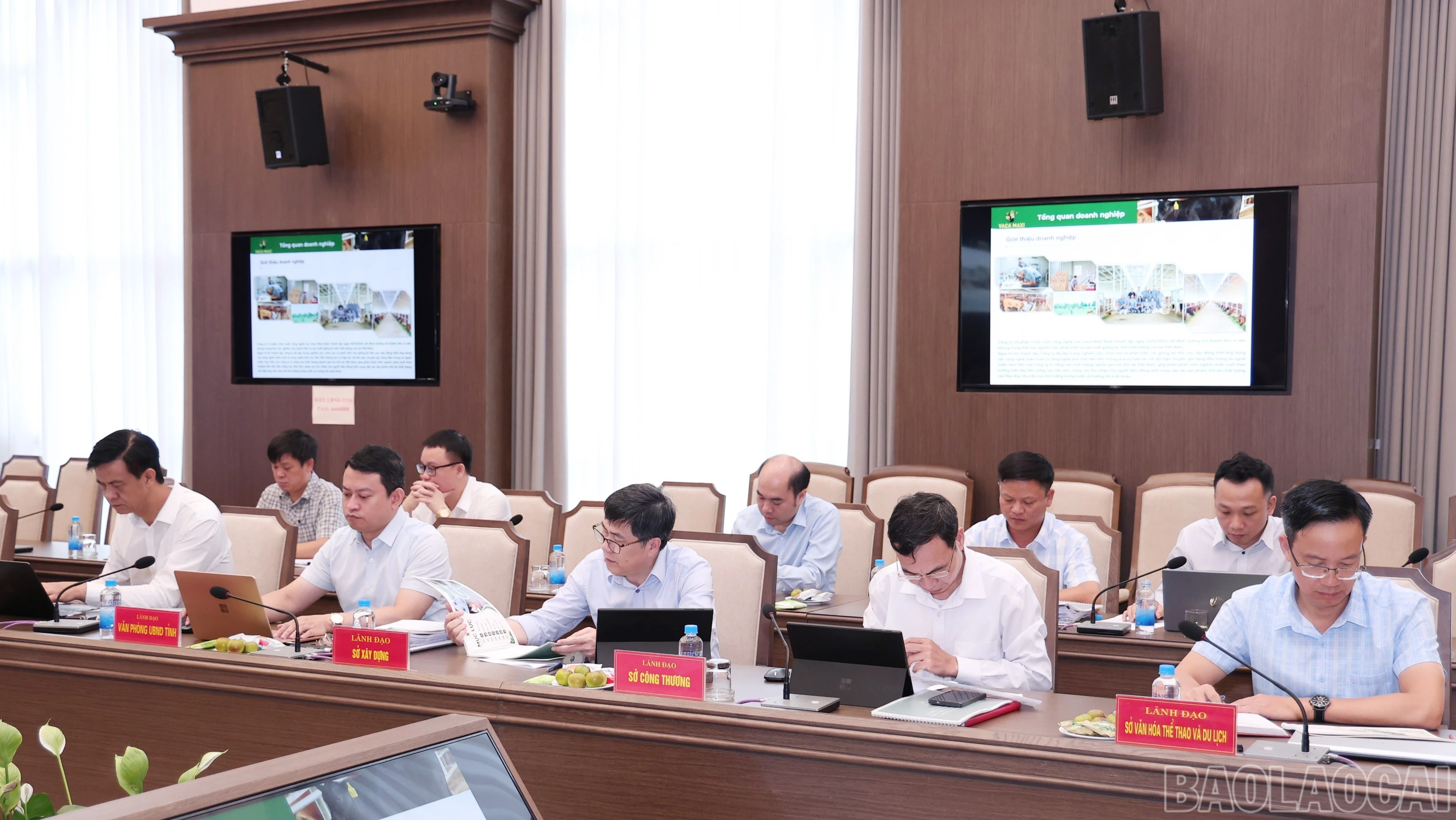 baolaocai-br_br-img-9478.jpg