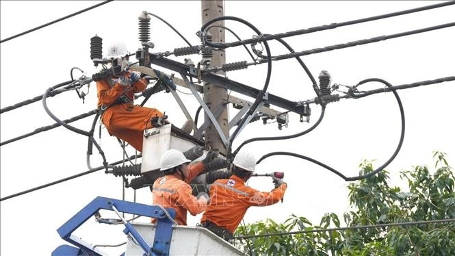 Nhân viên Công ty Điện lực Thuận An (Tổng Công ty Điện lực Thành phố Hồ Chí Minh) bảo trì đường dây để đảm bảo điện an toàn, ổn định hệ thống điện trước mùa khô năm 2026.