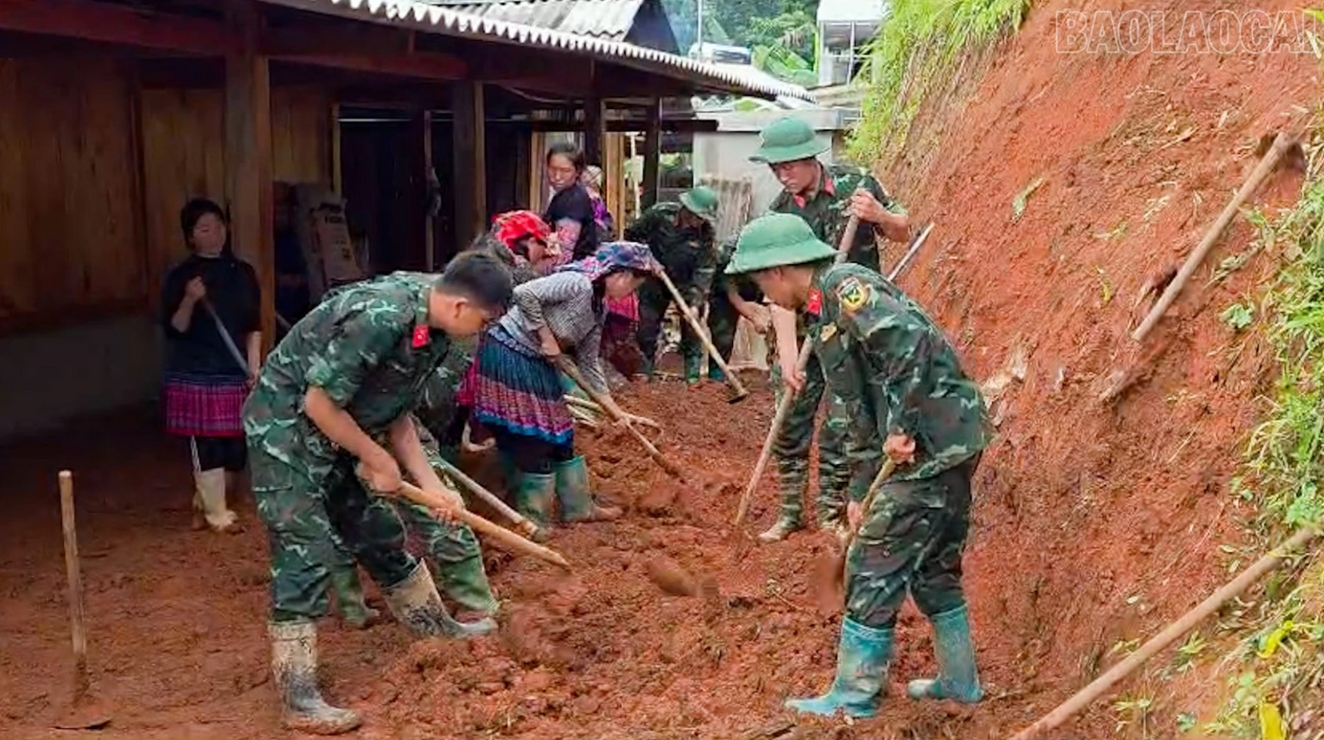 laochai2.jpg