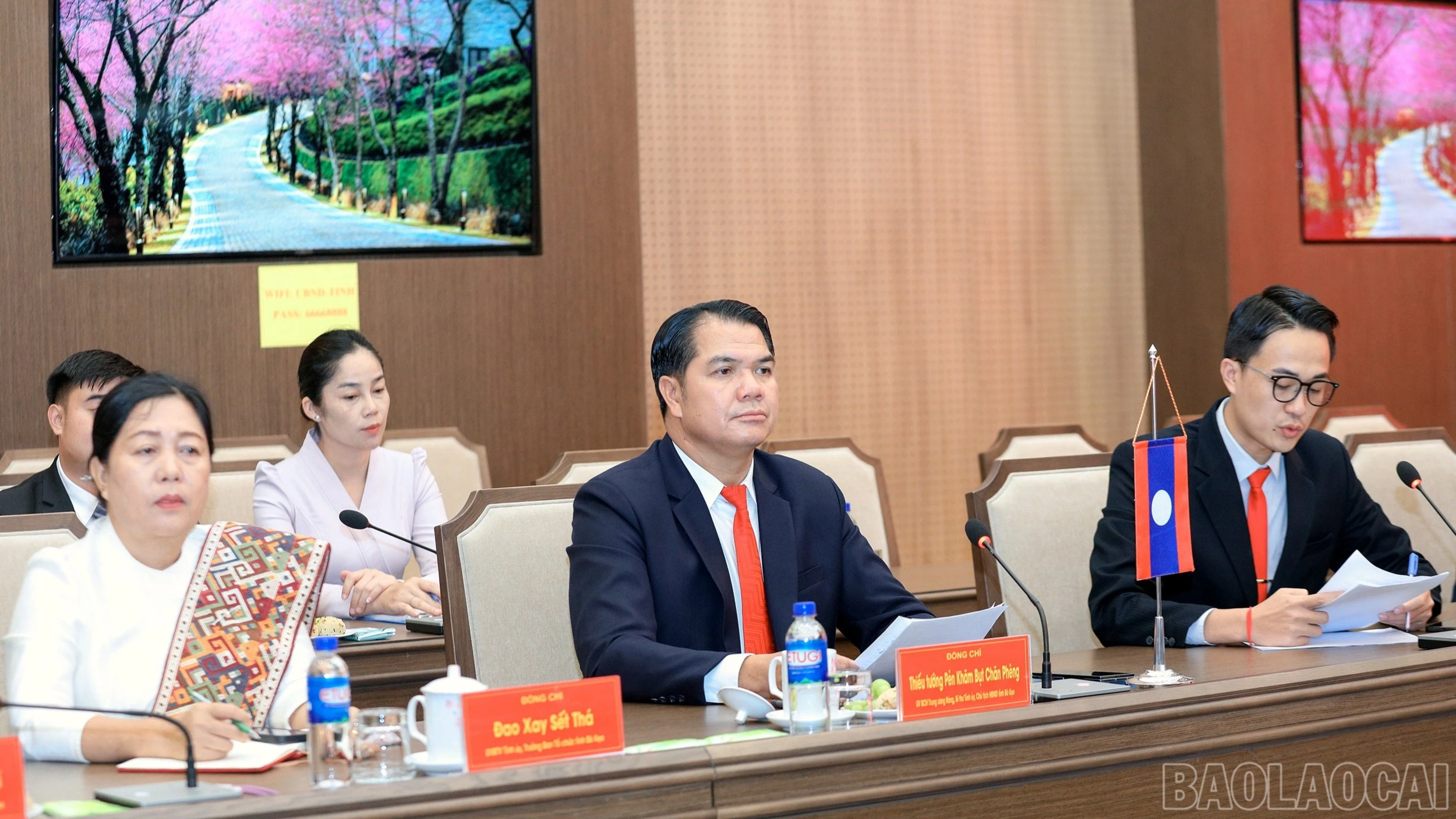 baolaocai-br-7j5a4222.jpg