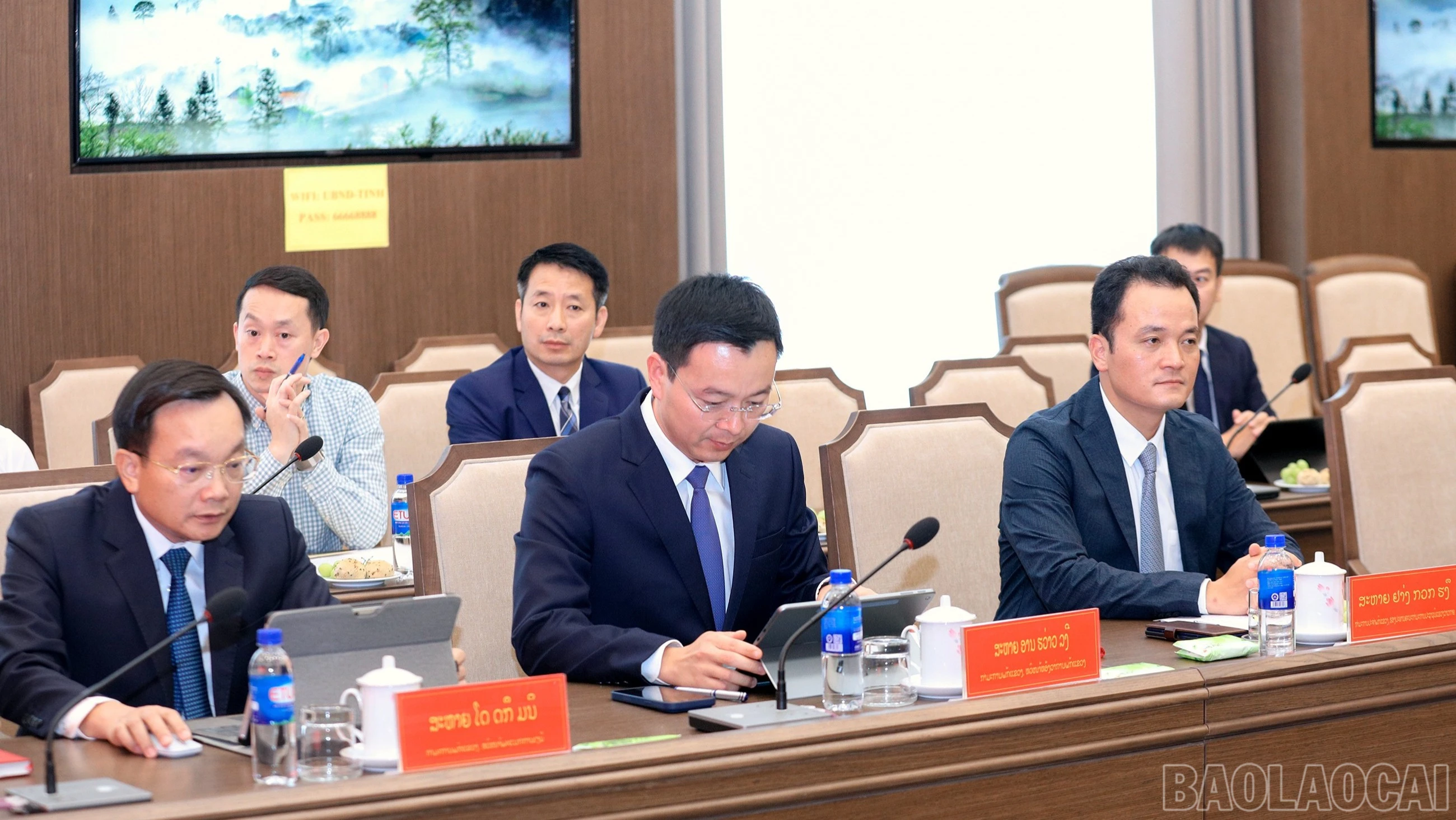 baolaocai-br-7j5a4117.jpg