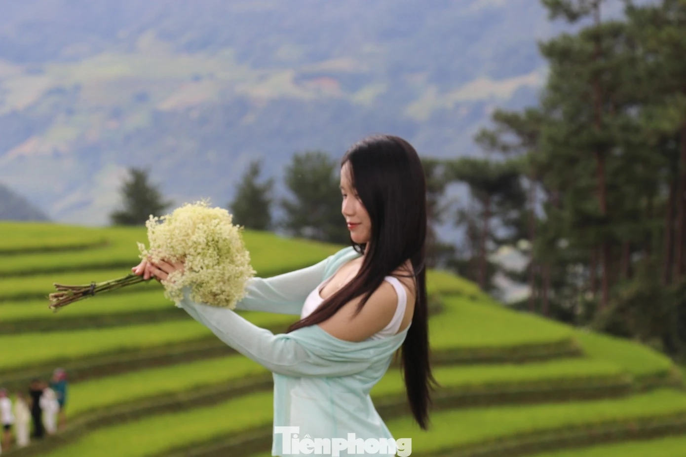 Nhiều bạn trẻ tranh thủ lưu giữ lại những hình ảnh đẹp mùa lúa xanh tại đây.