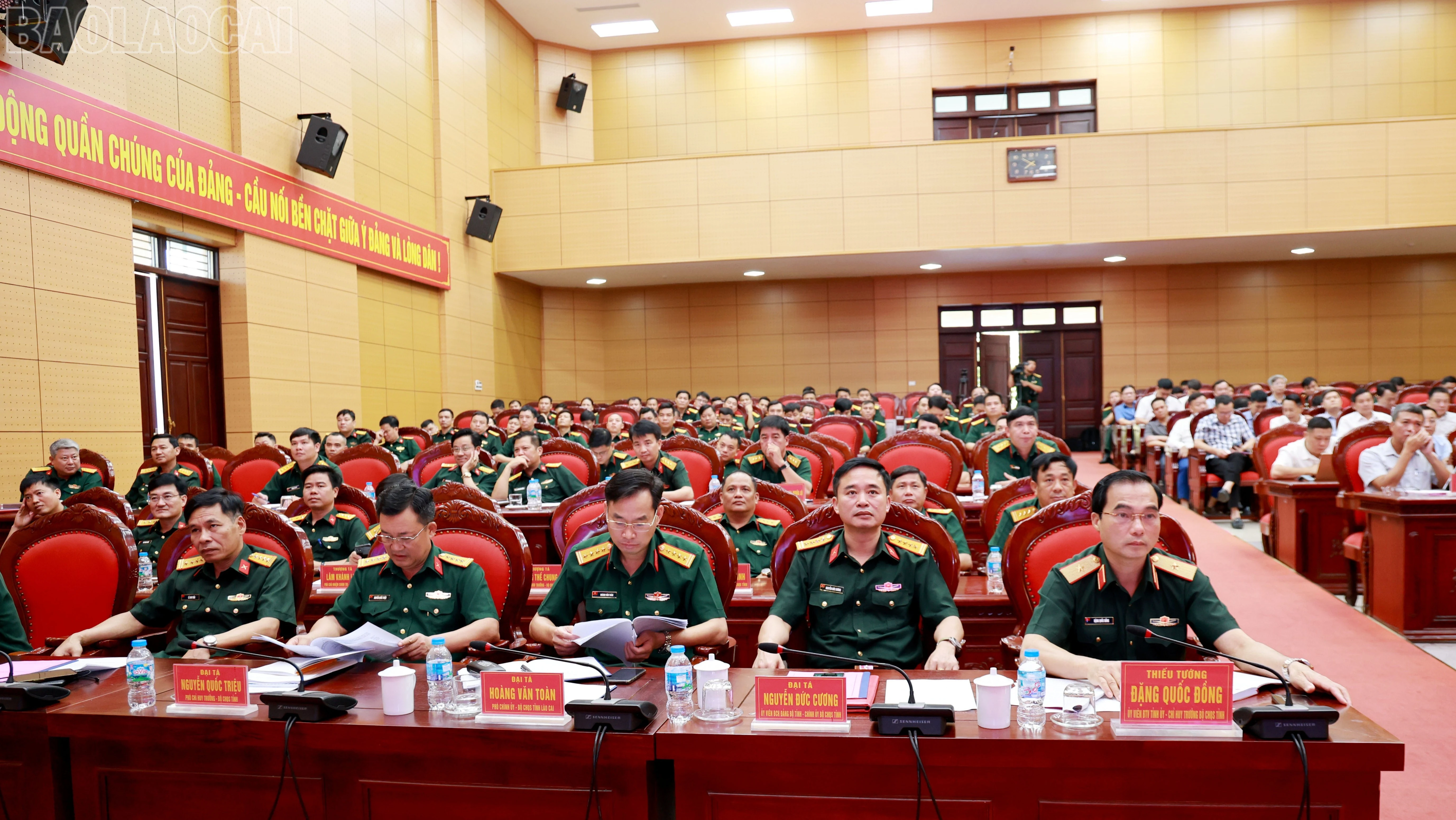 baolaocai-tl_br-060a8577.jpg
