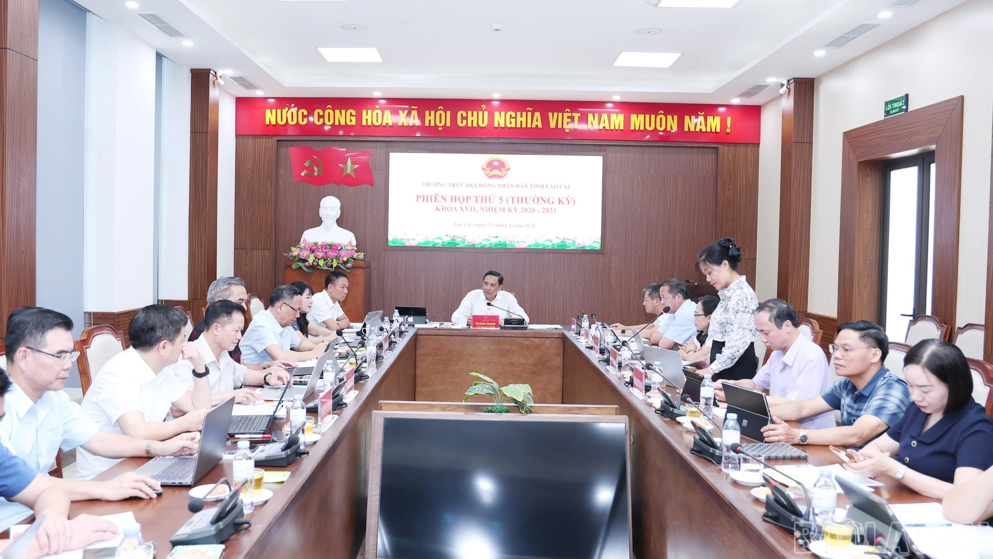 baolaocai-br_br-img-6349.jpg