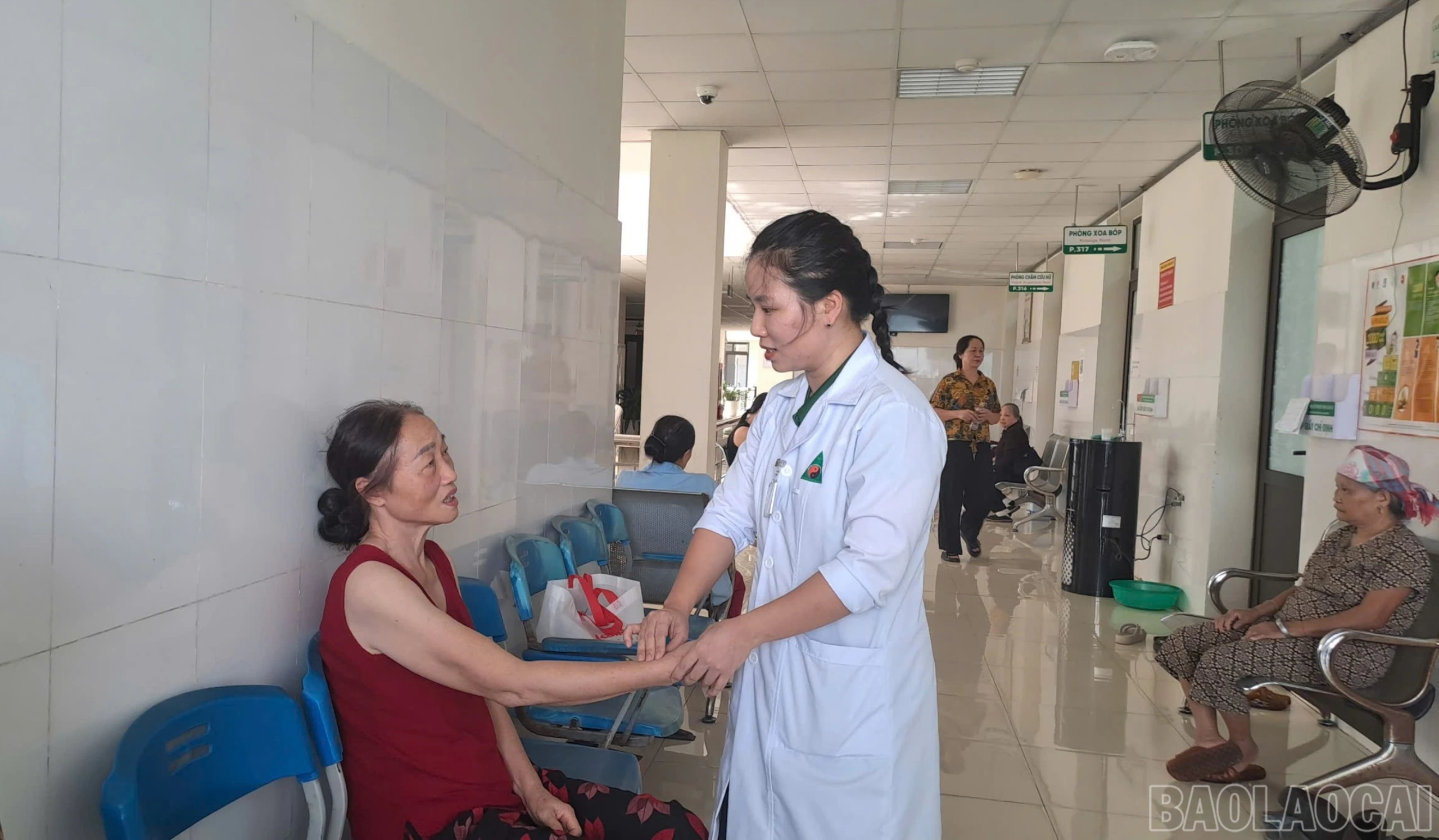 baolaocai-br_z7971797769438-04e479fa25c00787a30446cad10a278e.jpg