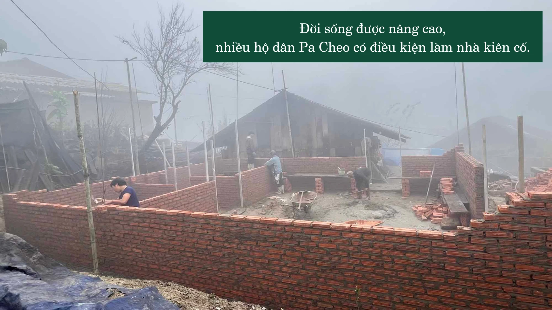 anh-sua-pa-cheo.png