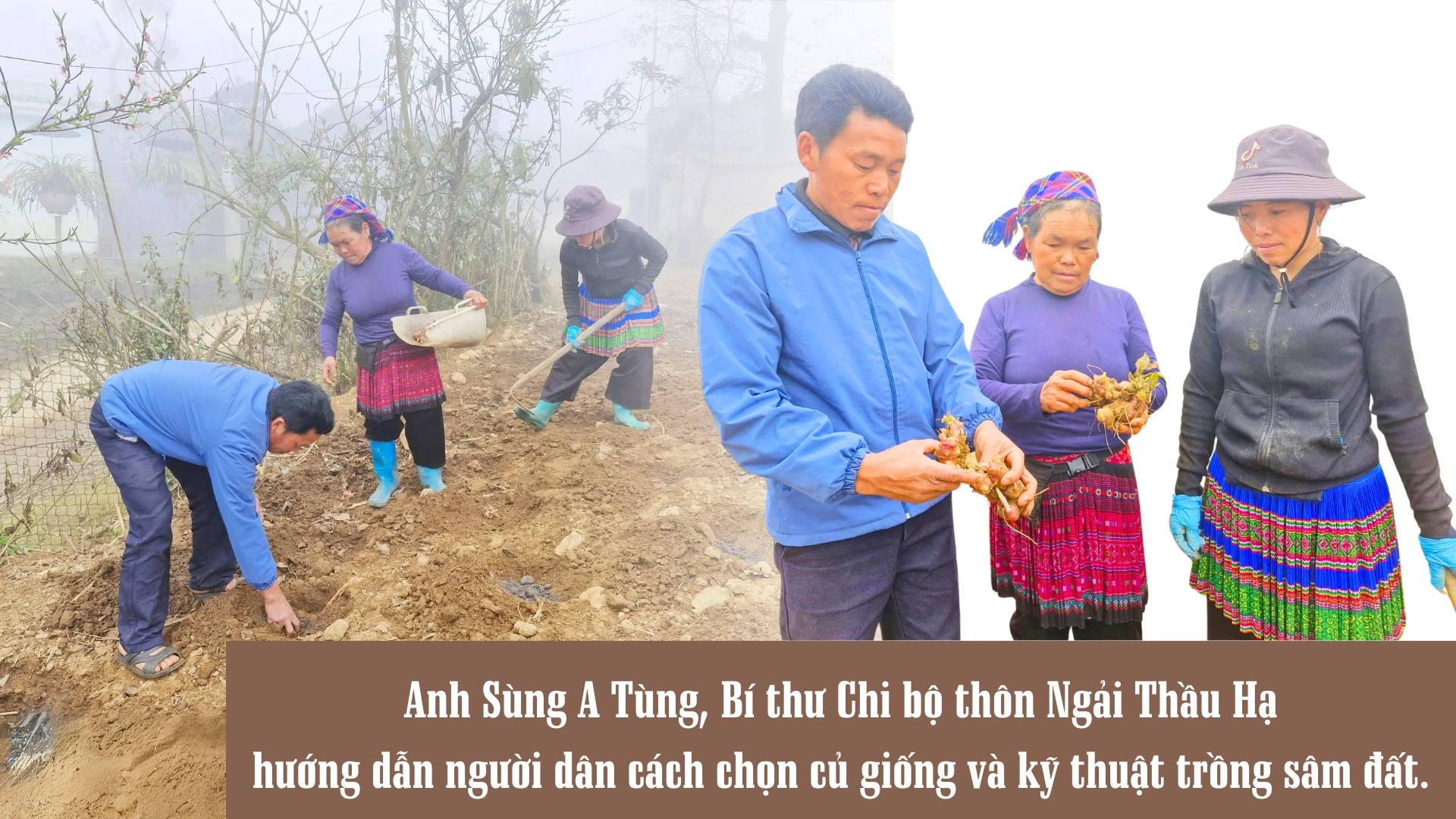 mua-trong-sam-dat-tren-mui-da-ma-cha-va-4.png