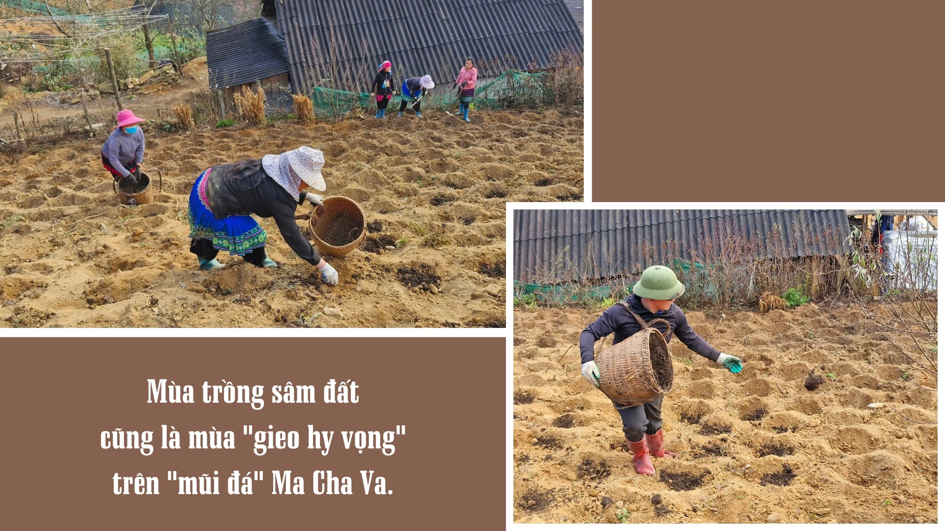 mua-trong-sam-dat-tren-mui-da-ma-cha-va-6.png