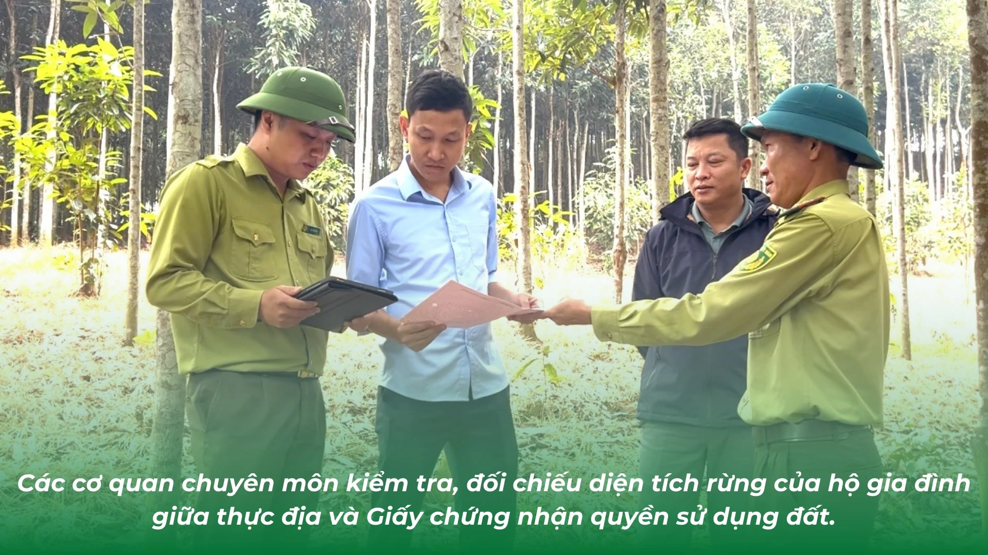 go-kho-chi-tra-dich-vu-moi-truong-rung-doi-voi-ho-gia-dinh-1.png