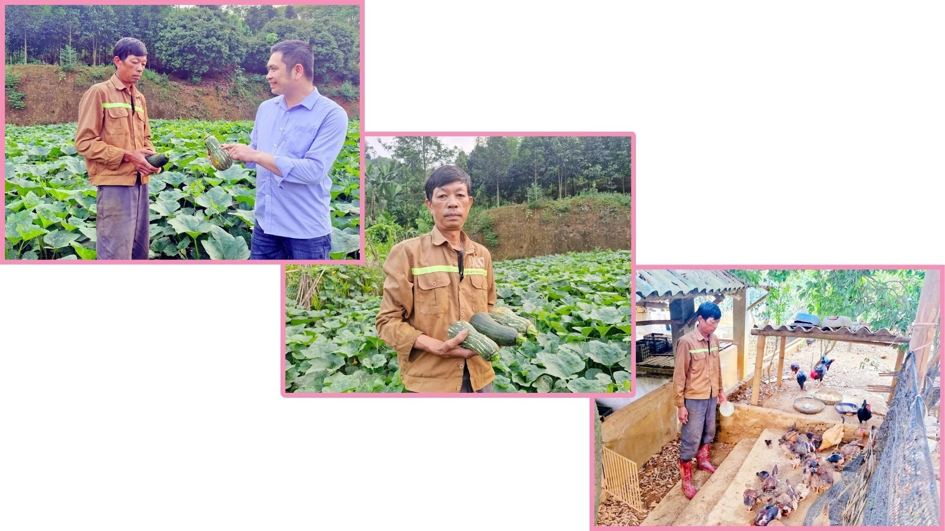 Ông Đoàn Văn Hưởng (thôn Văn Thủy, xã Võ Lao, huyện Văn Bàn) là điển hình sản xuất kinh doanh giỏi nhiều lần được ghi danh học Bác.