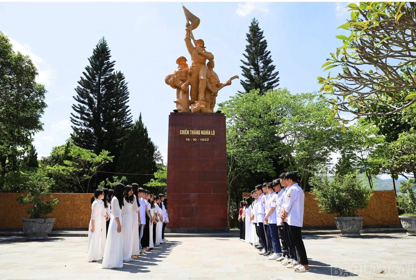 baolaocai-br_bd8b4b25-fd3f-40ce-9f65-d22db51ef586-1-201-a.jpg