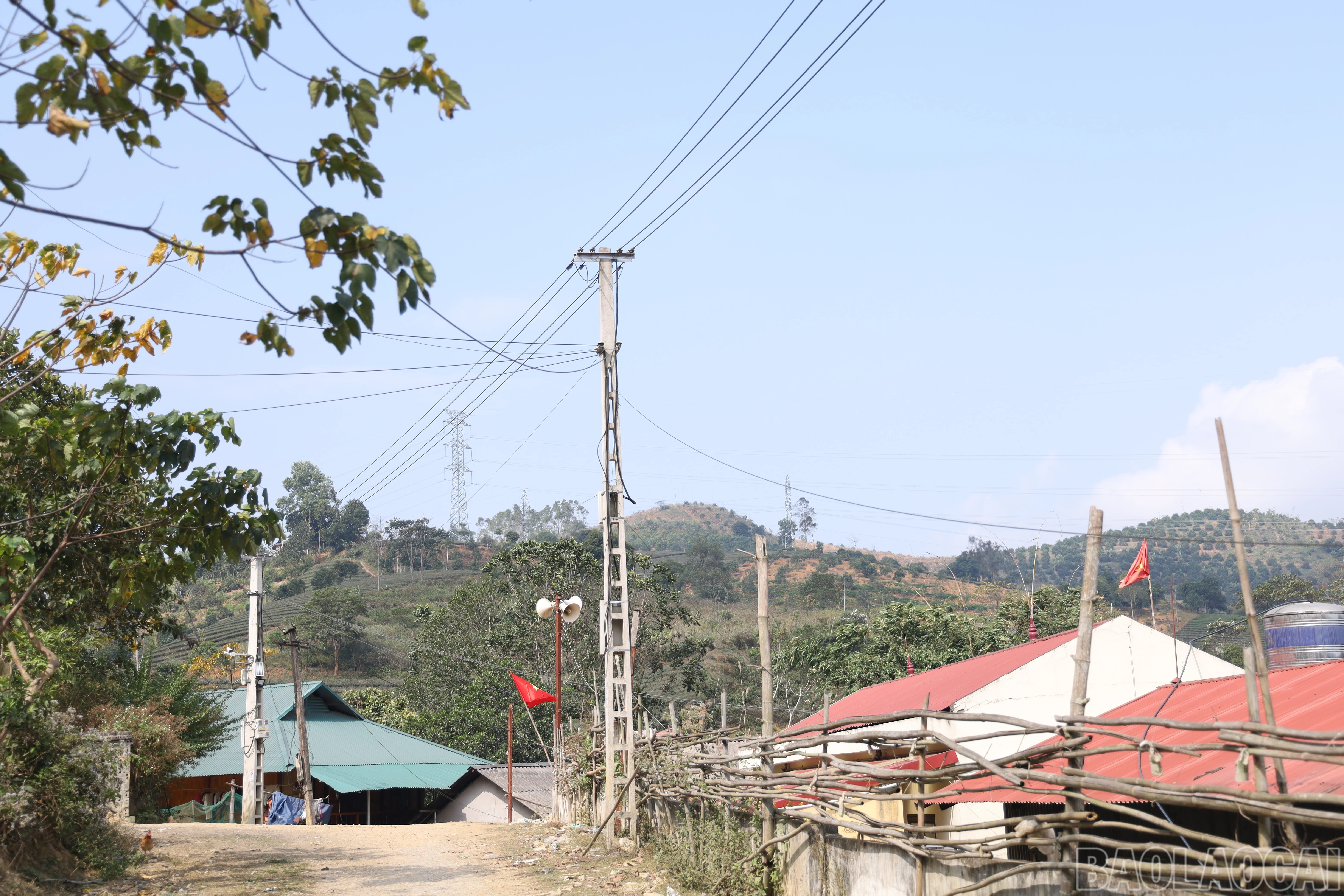 baolaocai-br_img-0978.jpg