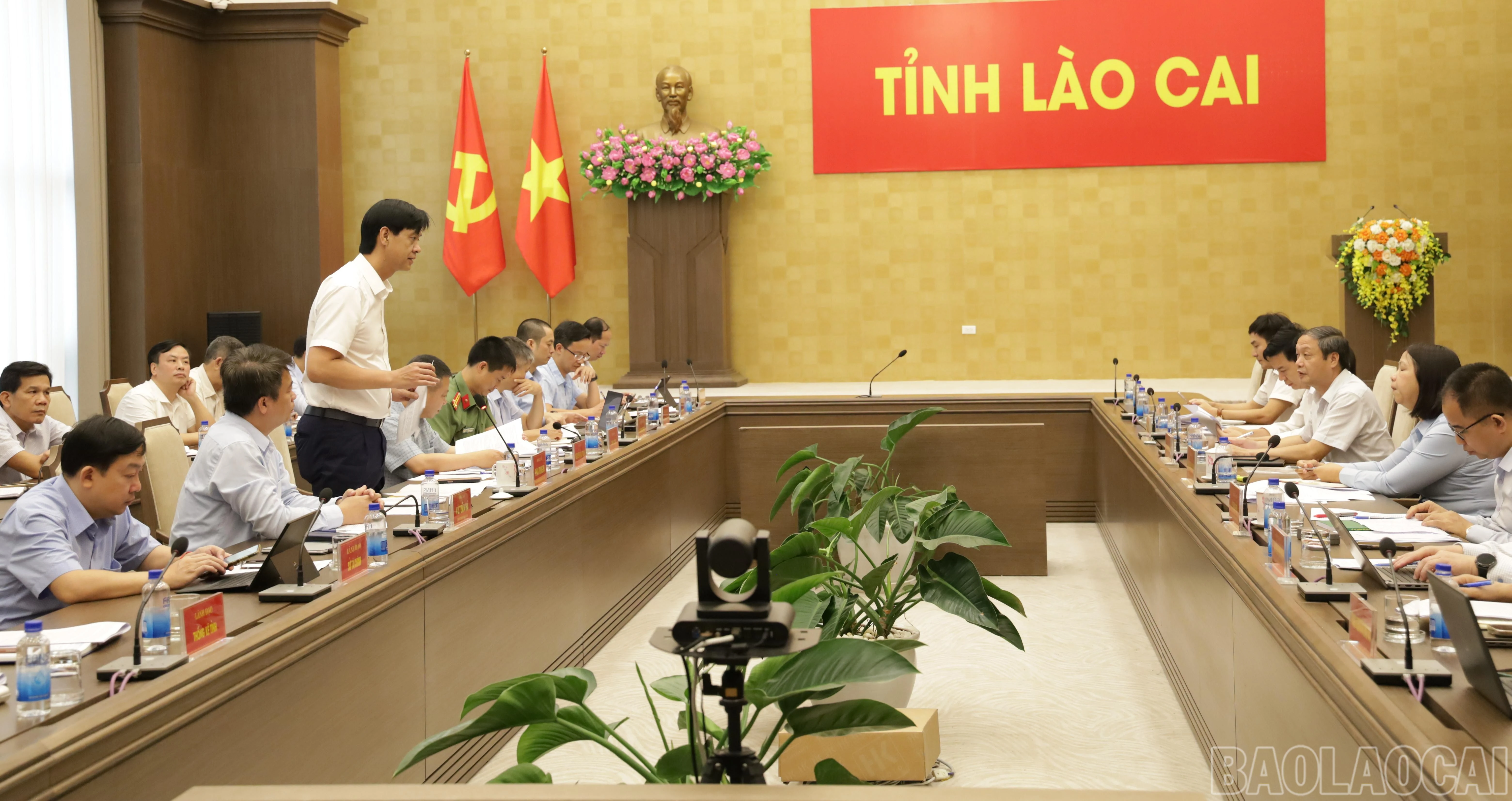 baolaocai-br_img-04711.jpg