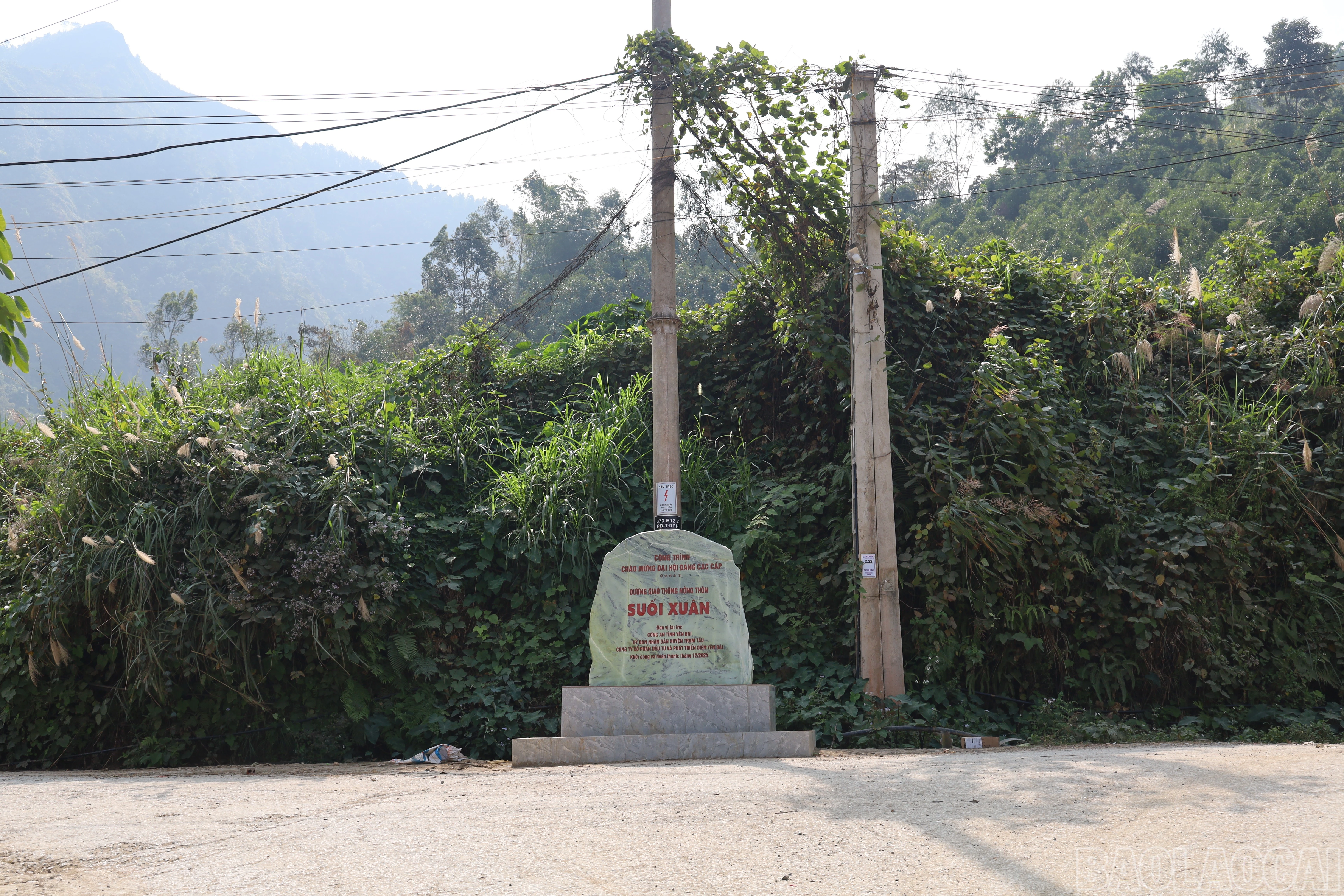 baolaocai-br_img-1011.jpg