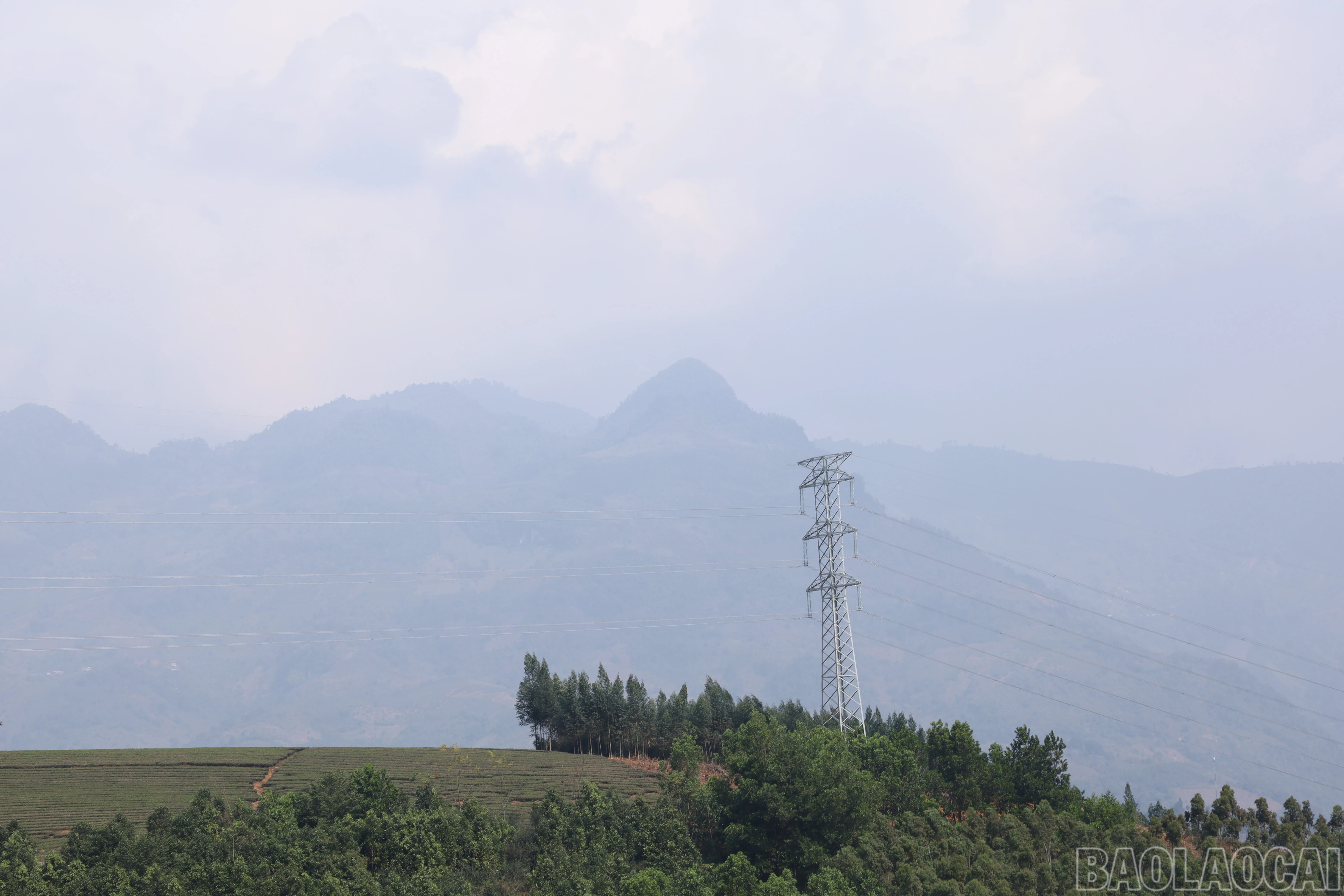 baolaocai-br_img-0998.jpg