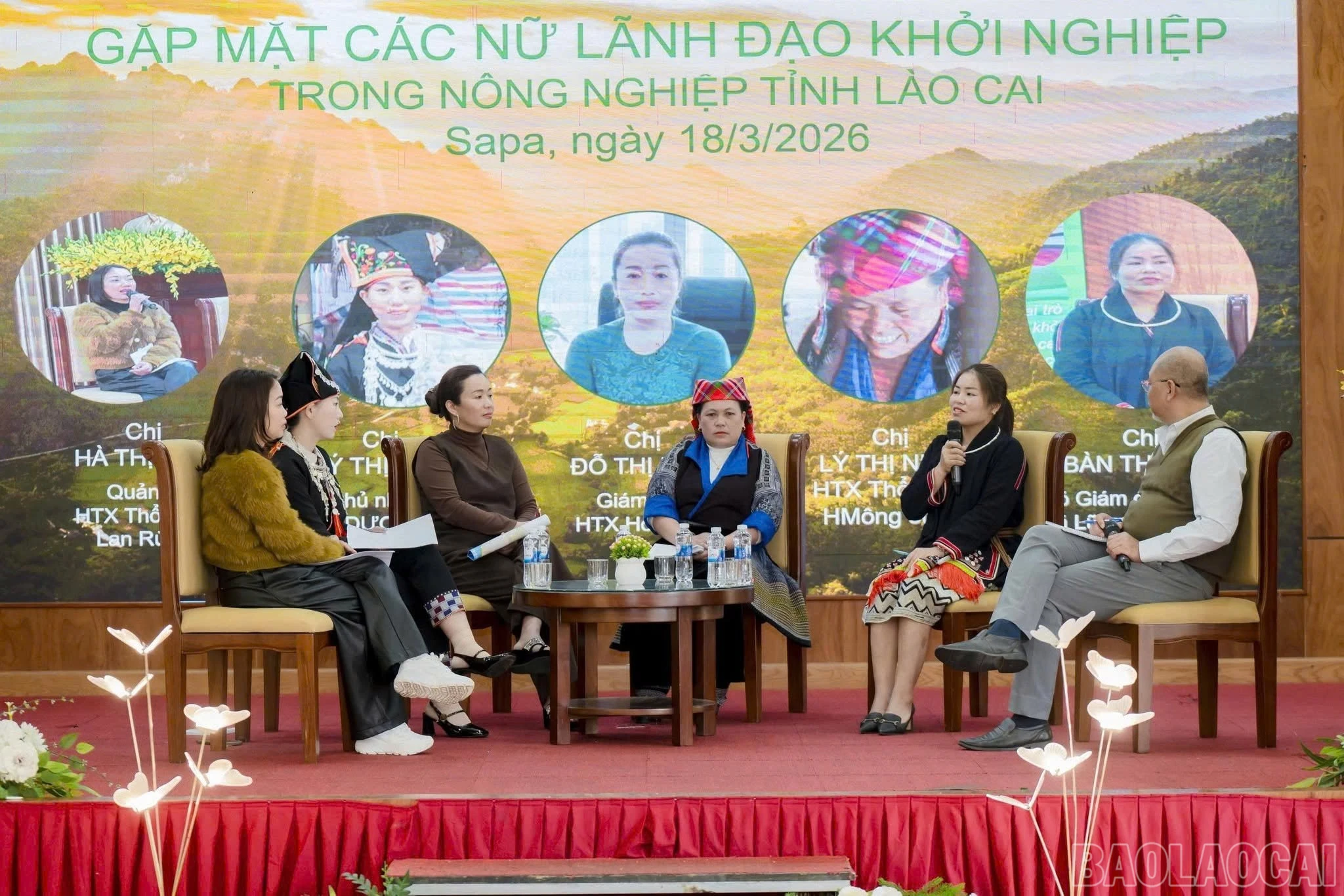 baolaocai-br_khoi-nghiep.jpg
