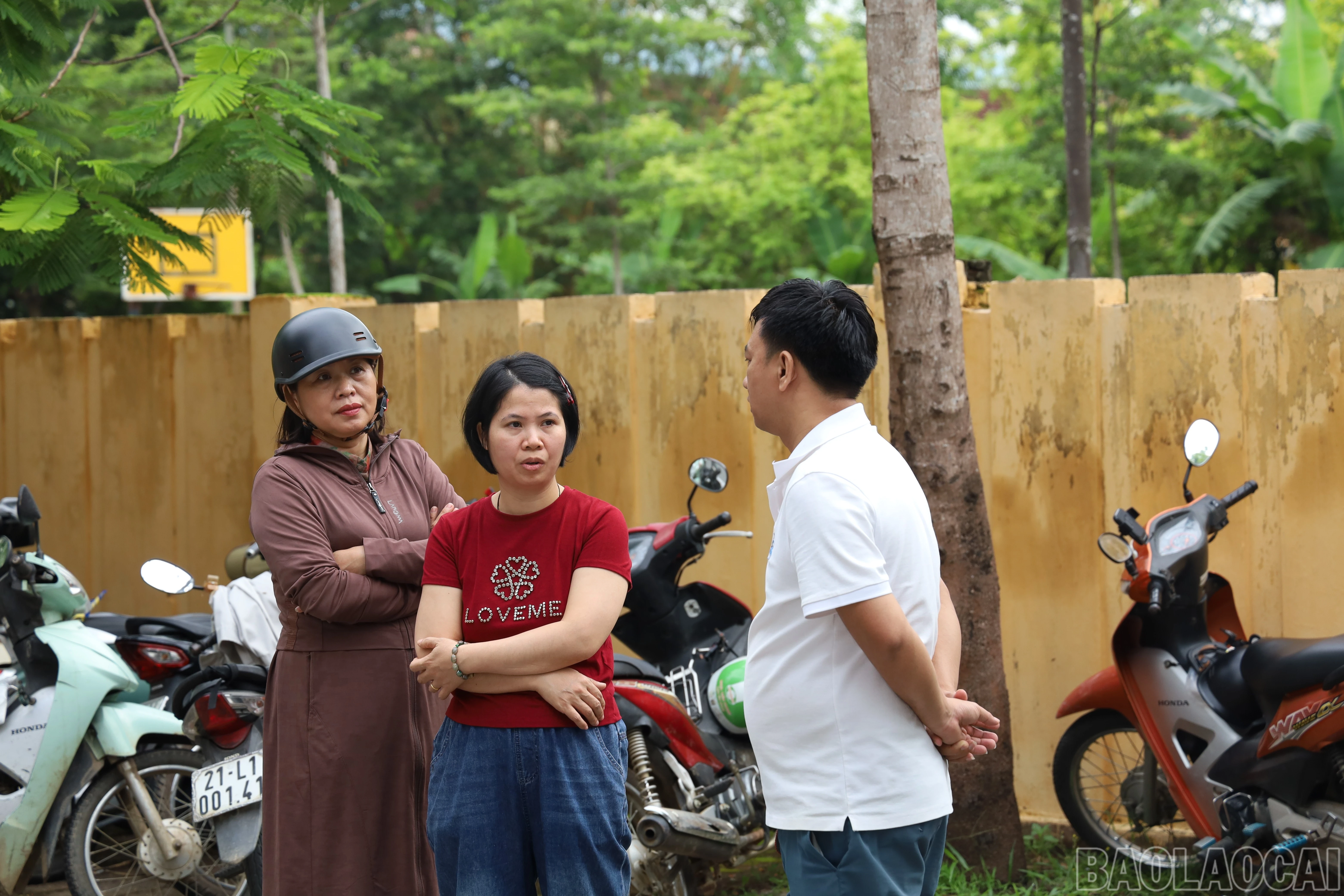 baolaocai-br_img-2617.jpg