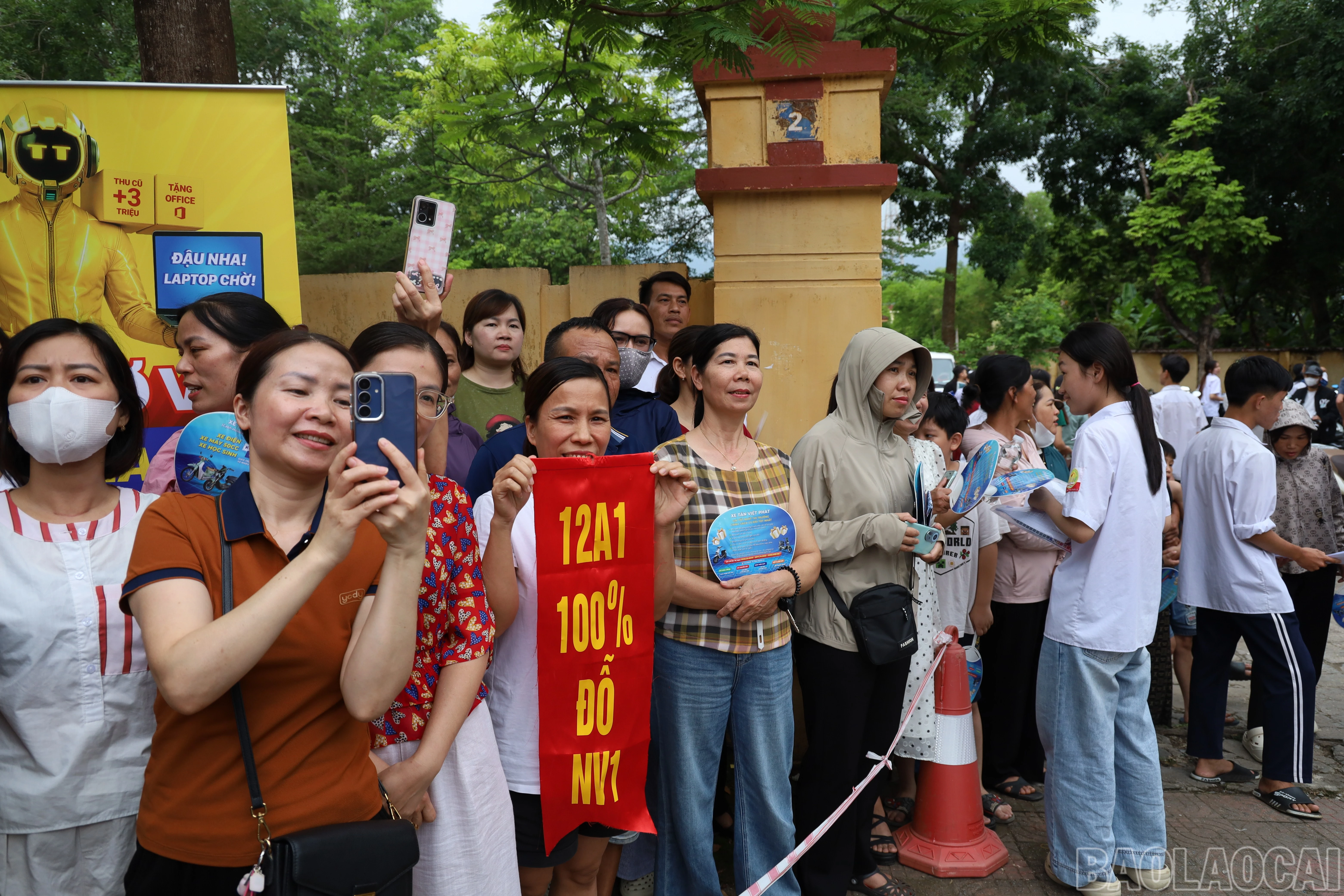 baolaocai-br_img-2814.jpg