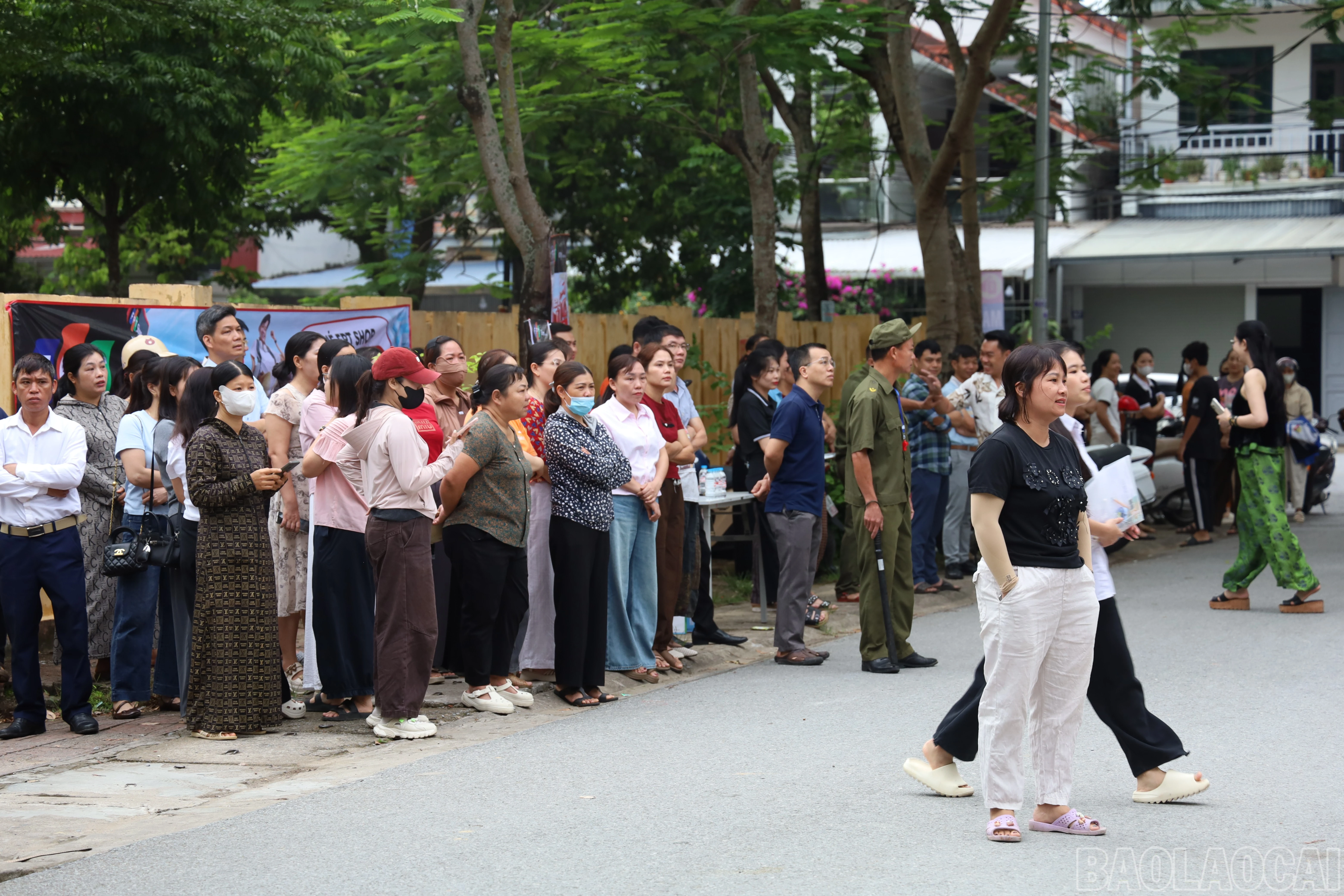 baolaocai-br_img-2615.jpg