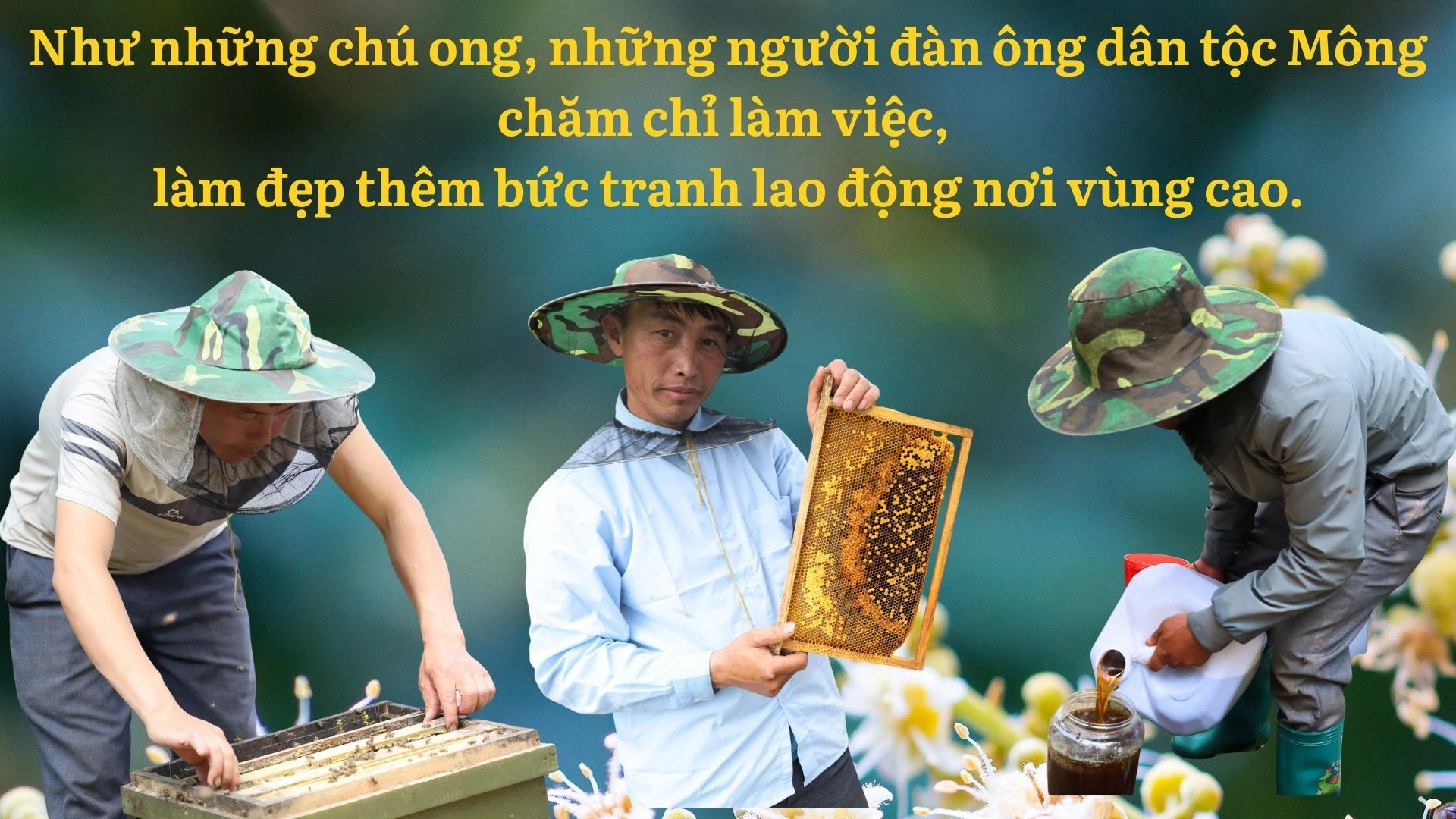 anh-5-lay.jpg