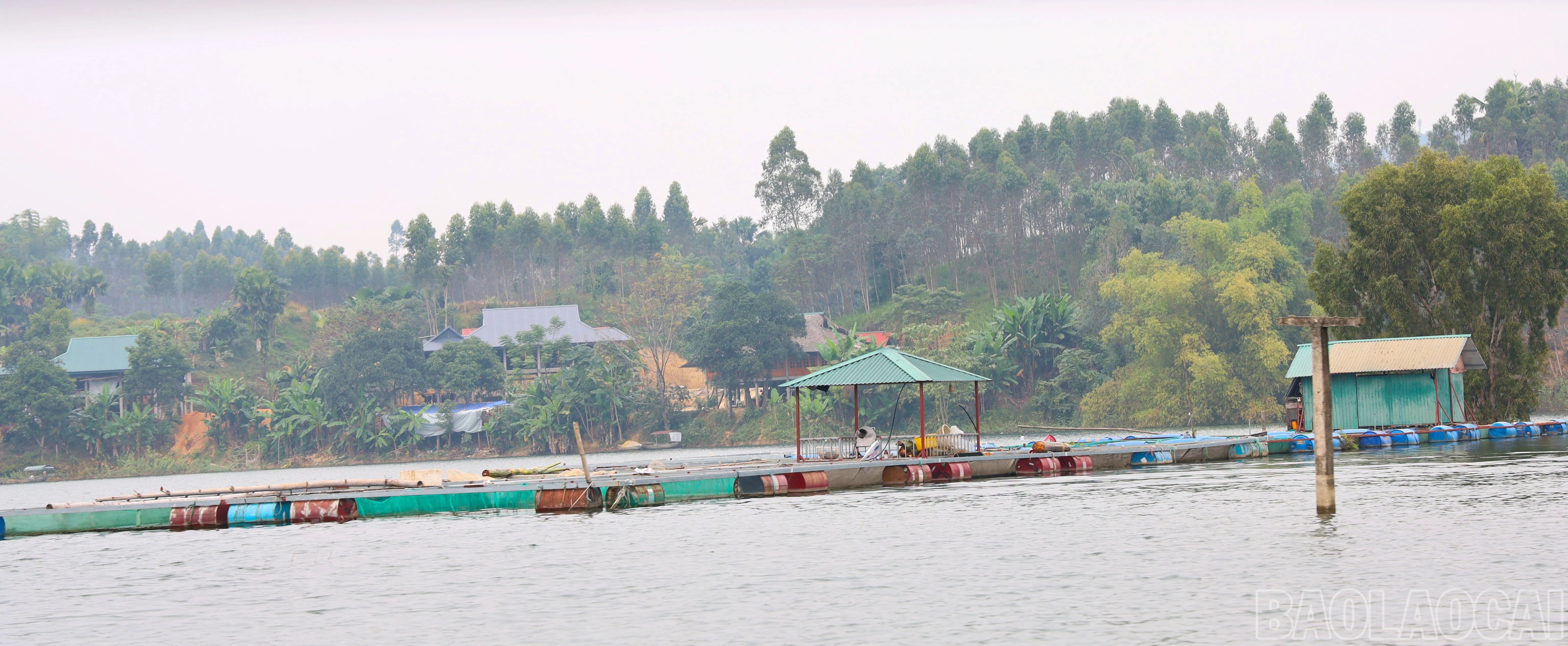 baolaocai-br_ca-long-9048.jpg
