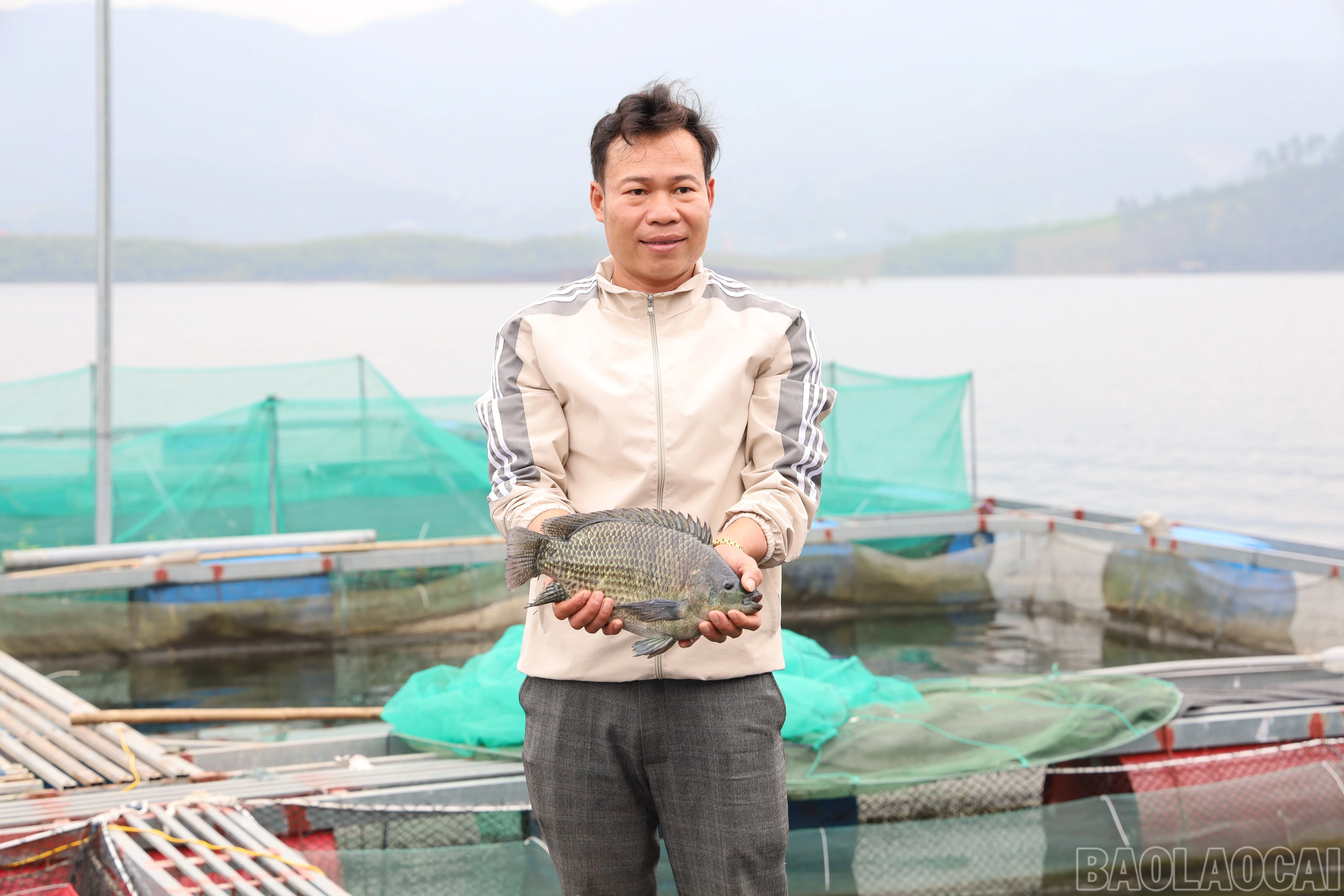 baolaocai-br_img-9035.jpg