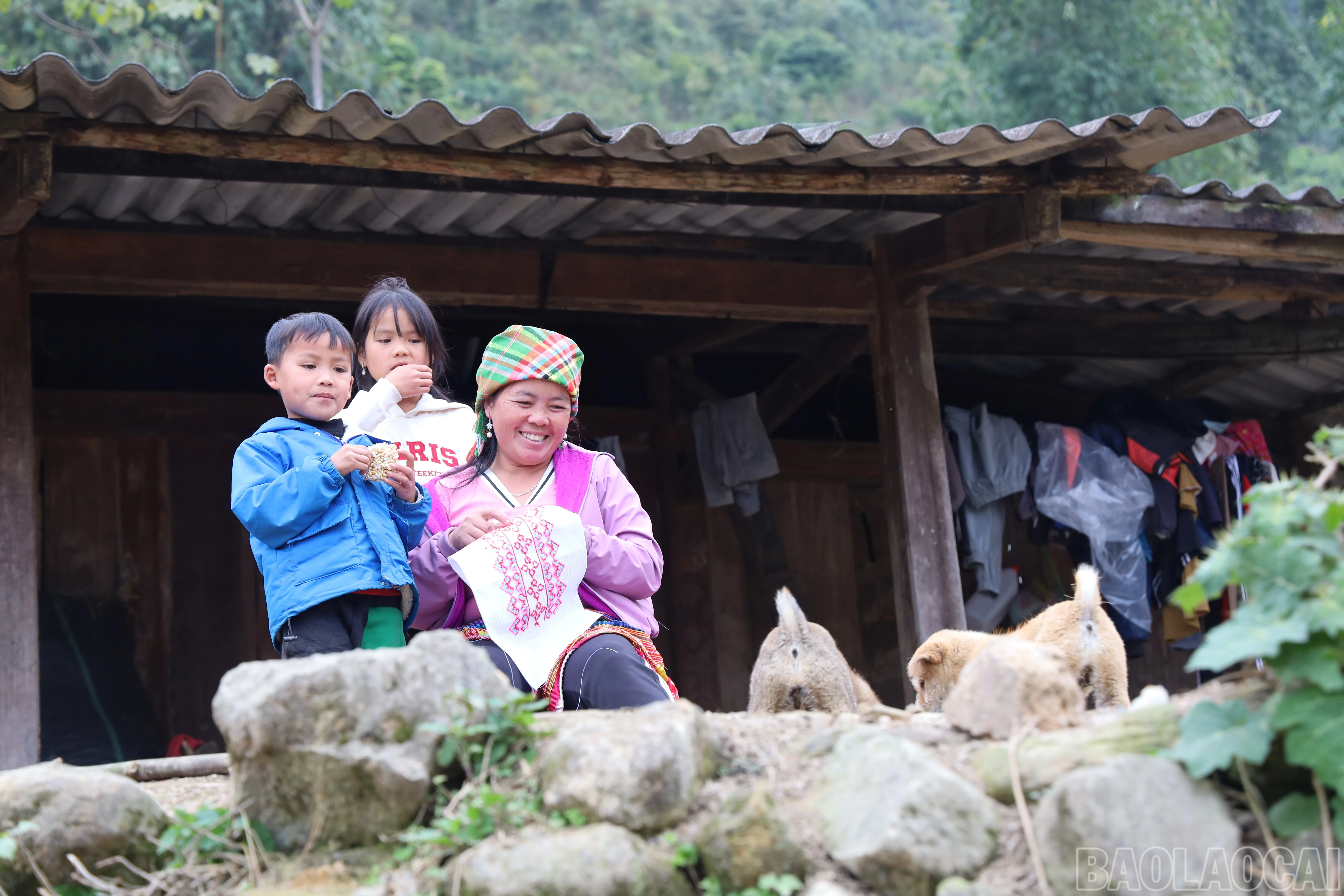 baolaocai-br_img-9674.jpg