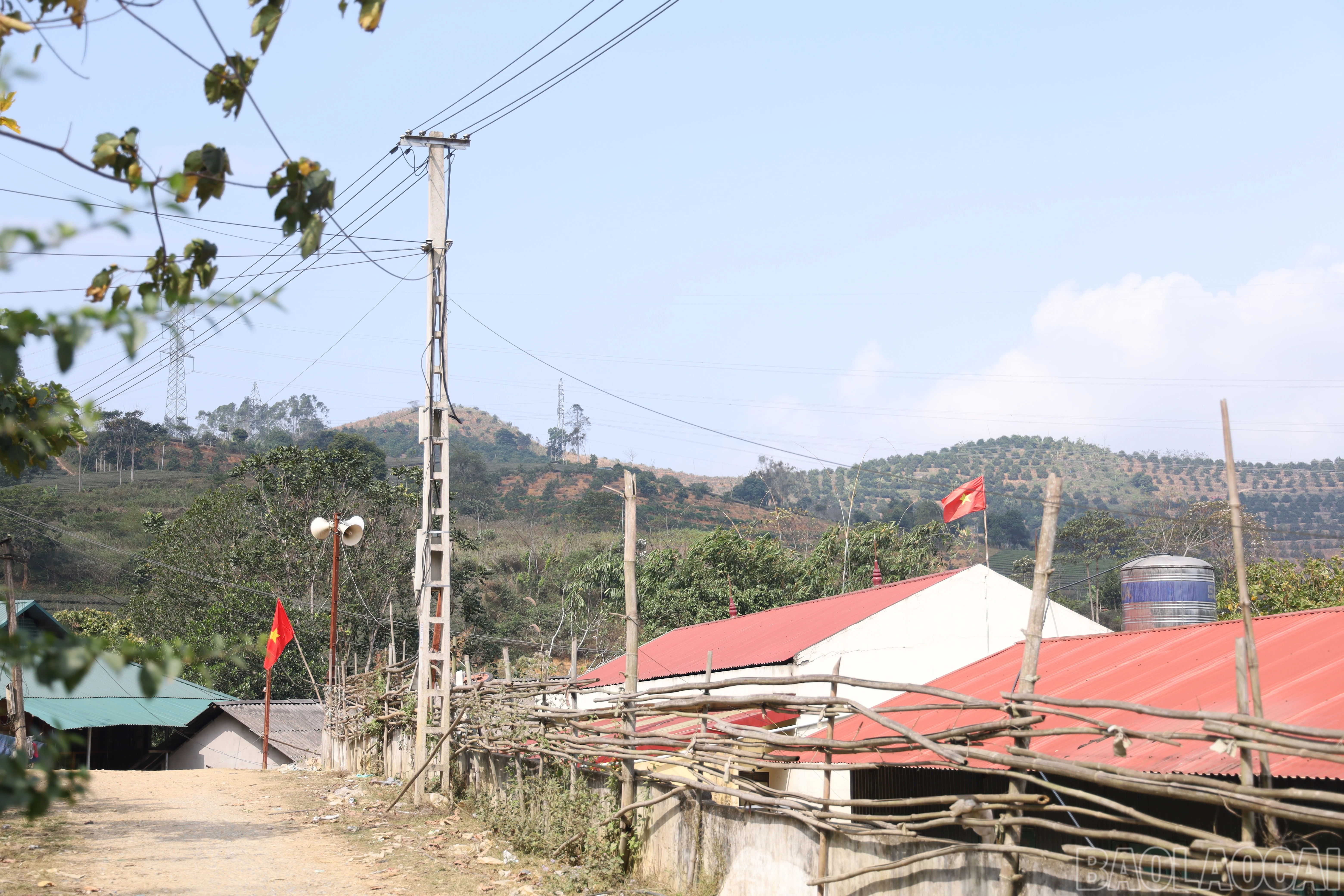 baolaocai-br_img-0969.jpg