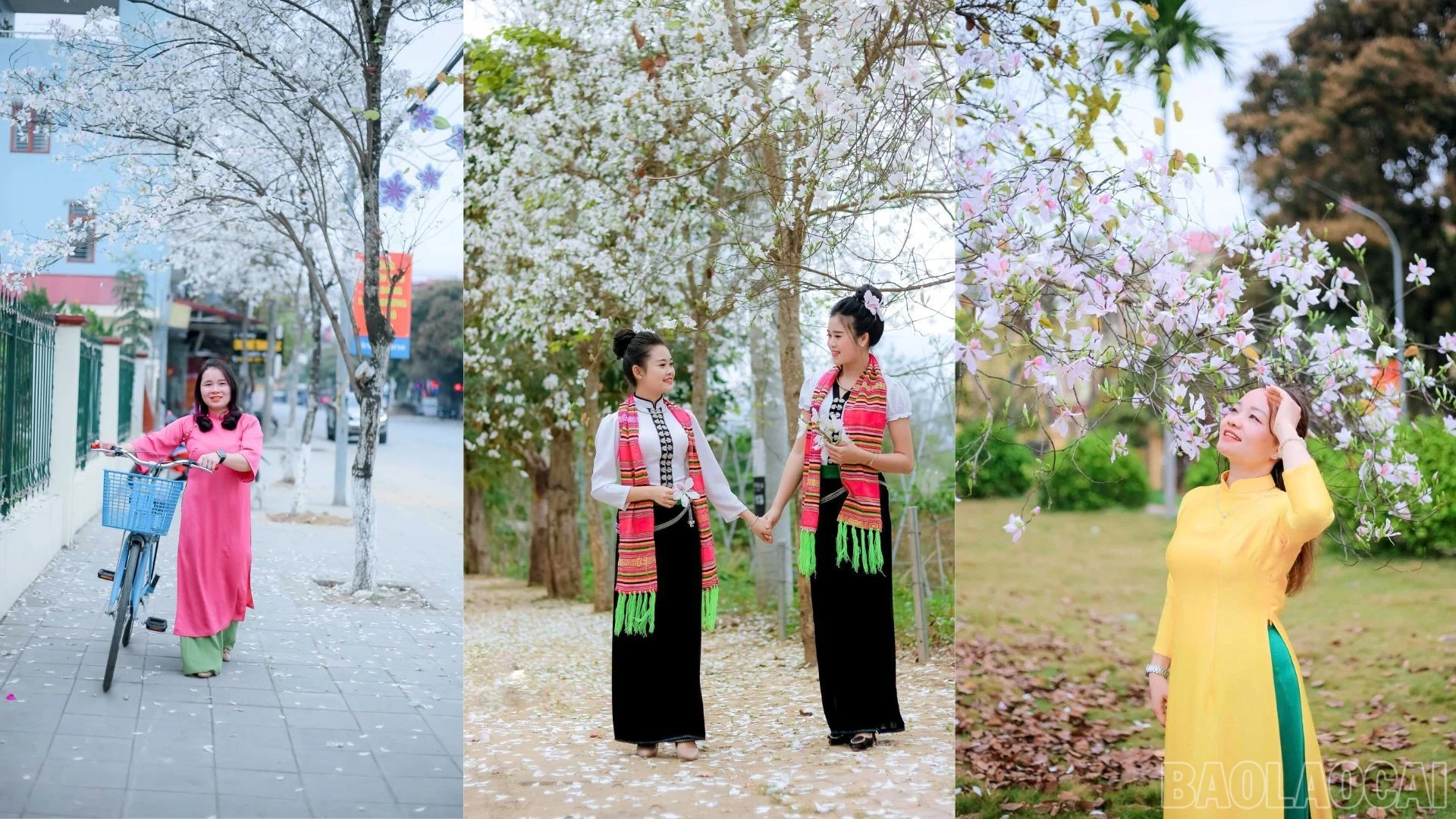 baolaocai-br_tuyen-duong-ban-dep.jpg