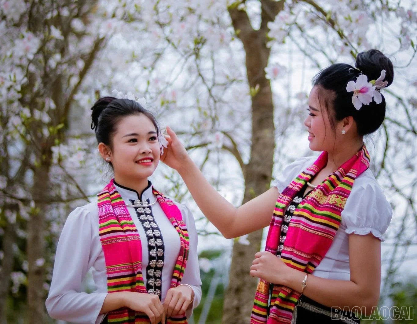 baolaocai-br_gai-thai.jpg