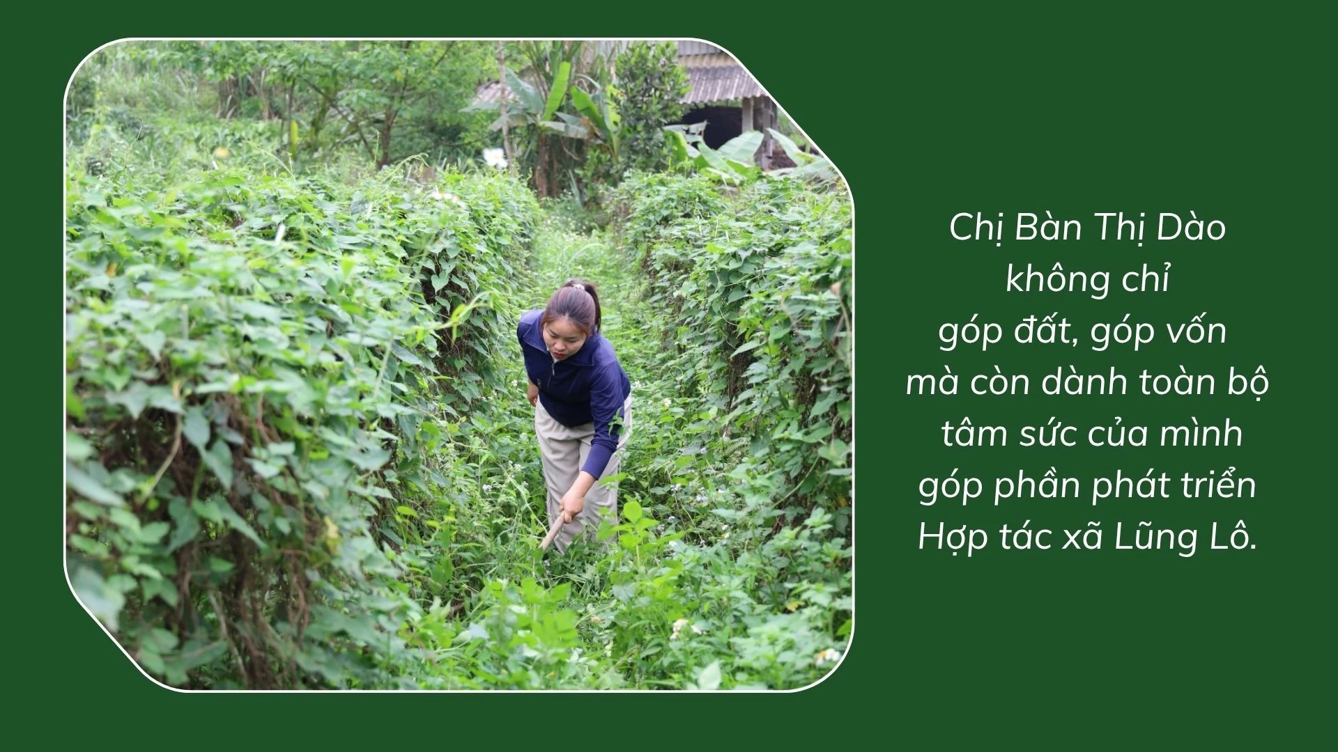 ban-thi-dao-8.jpg