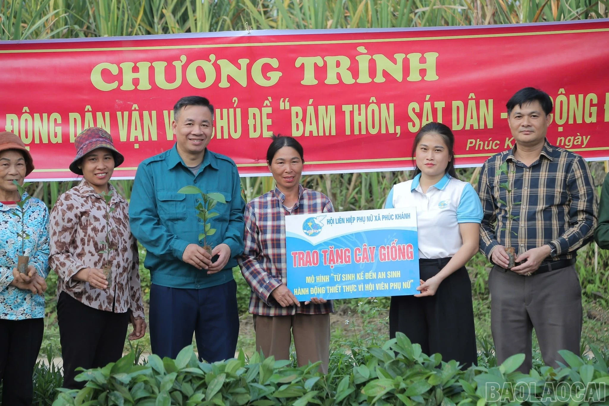 baolaocai-br_phuc-khanh.jpg