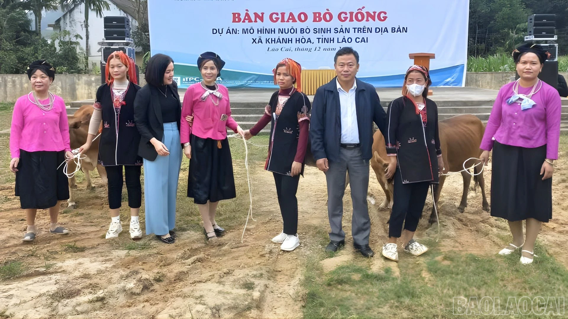 baolaocai-br_khanh-hoa-bo.jpg