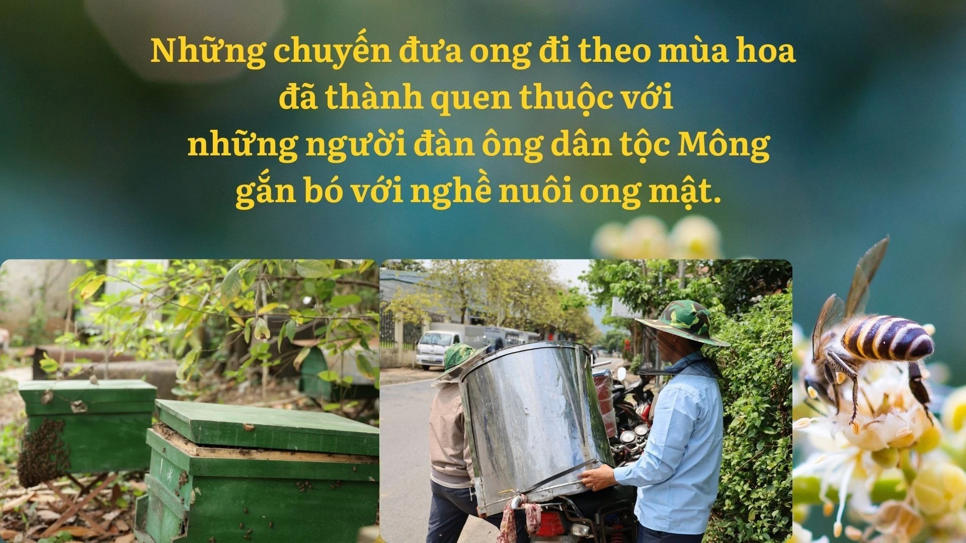 anh-4.jpg