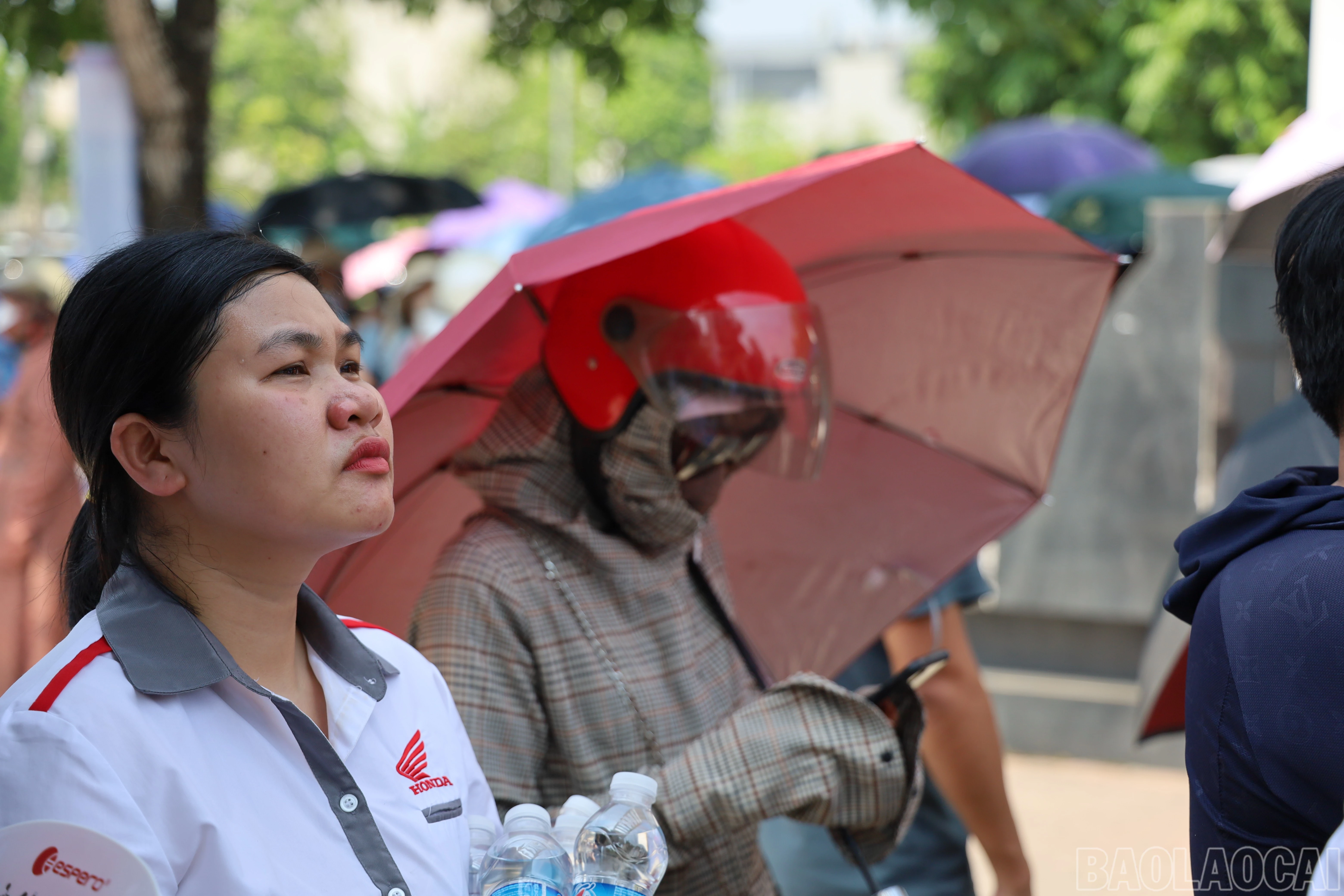 baolaocai-br_img-1715.jpg