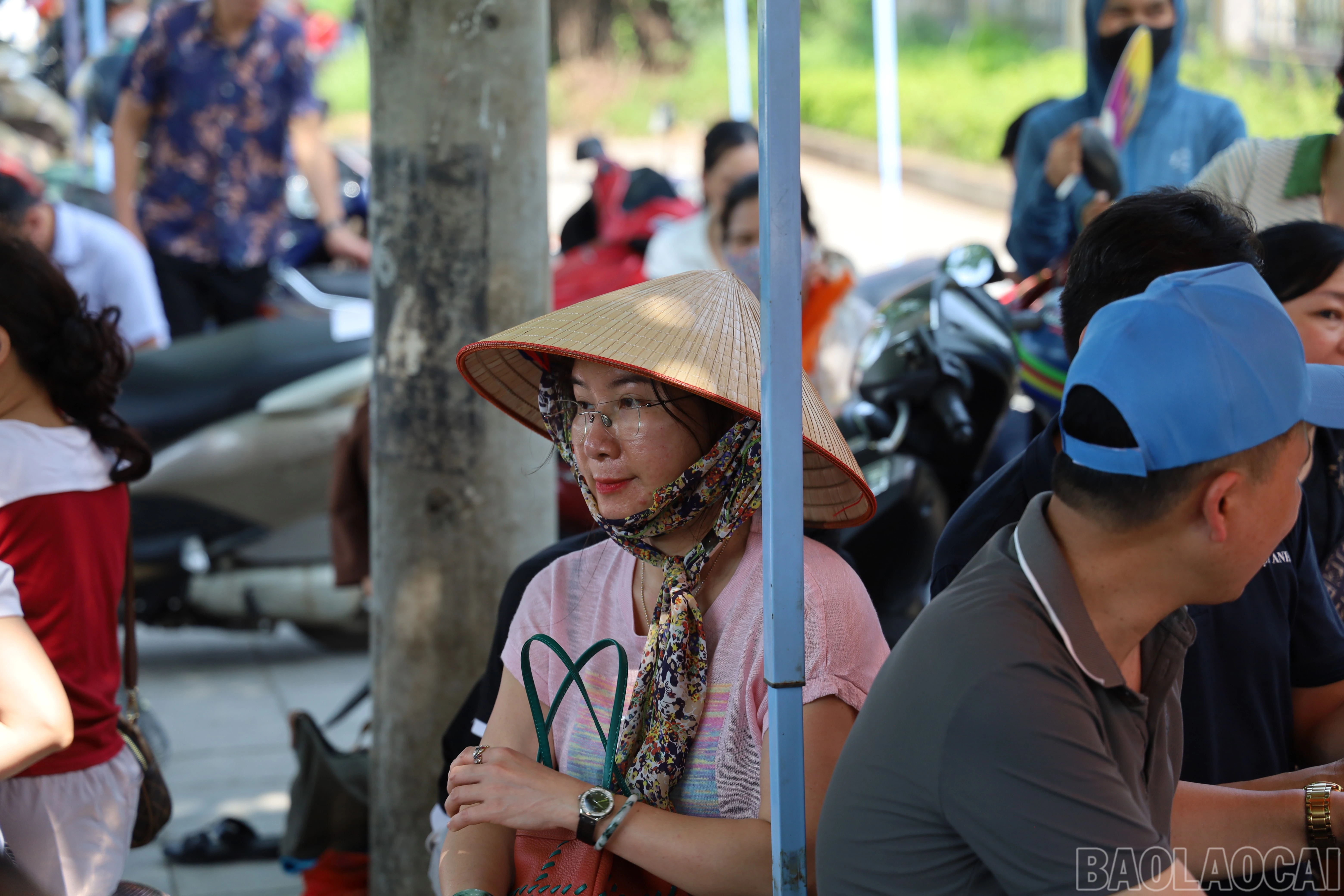 baolaocai-br_img-1692.jpg
