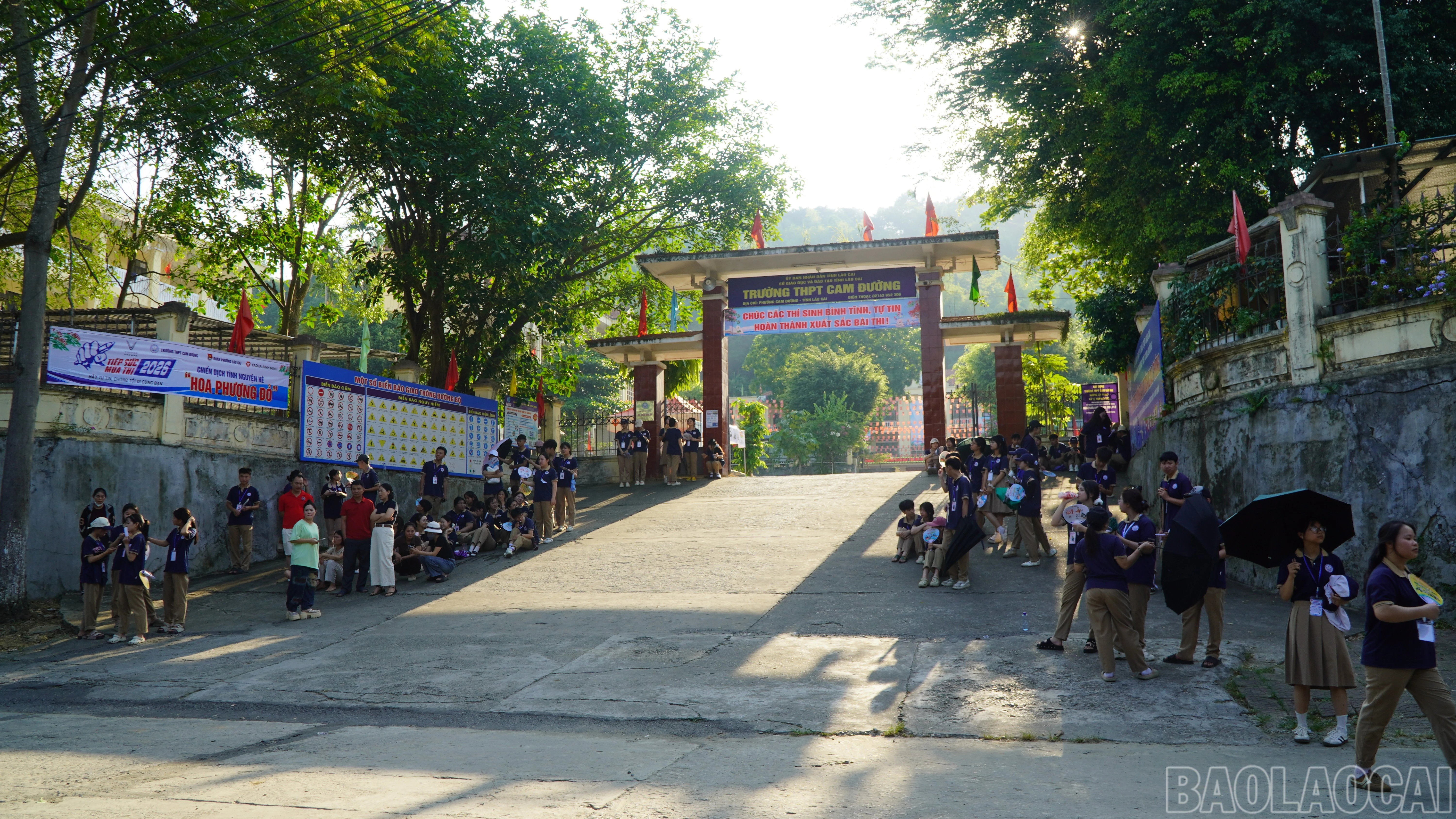 baolaocai-br_dsc06953.jpg