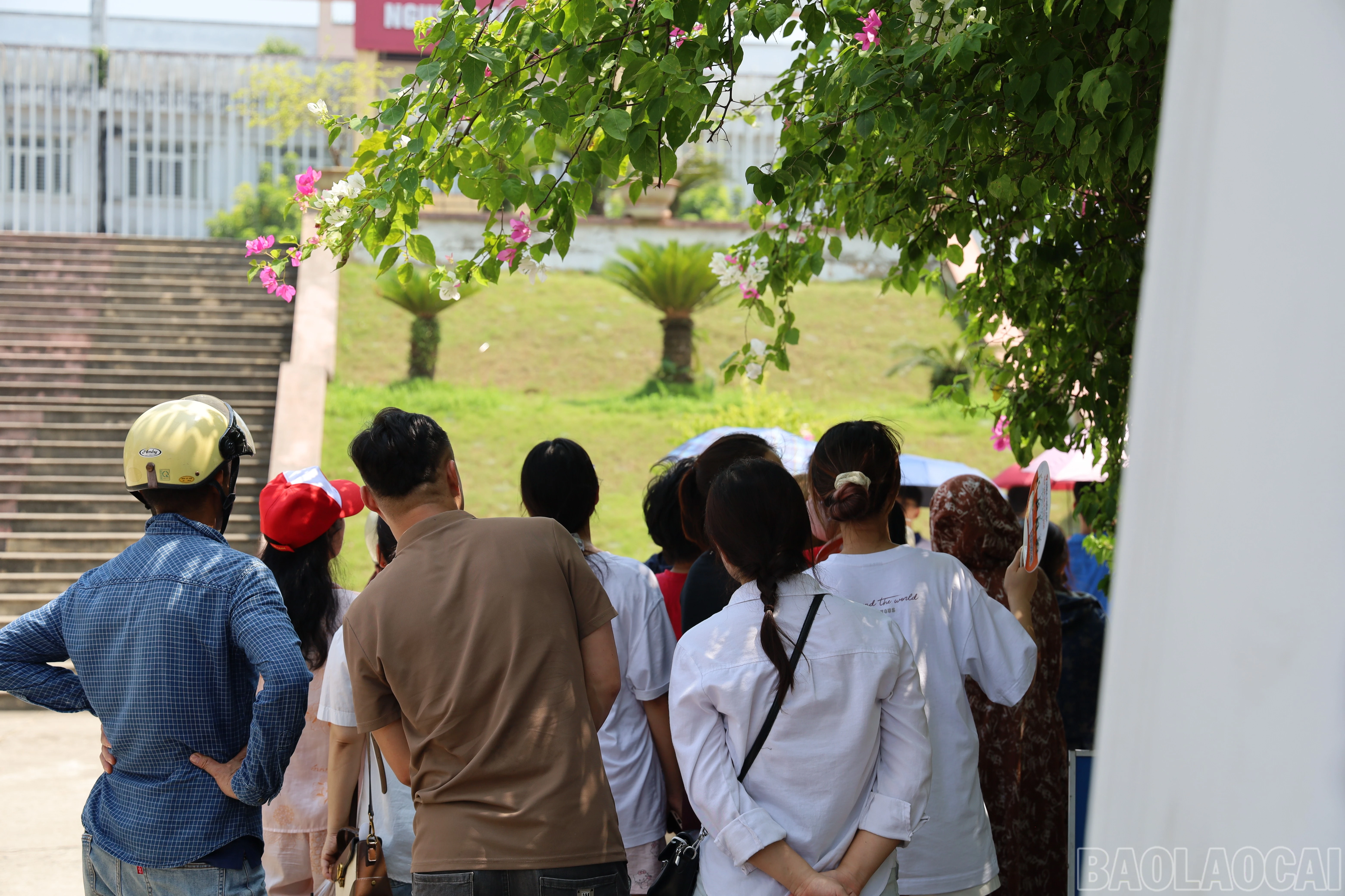 baolaocai-br_img-1756.jpg