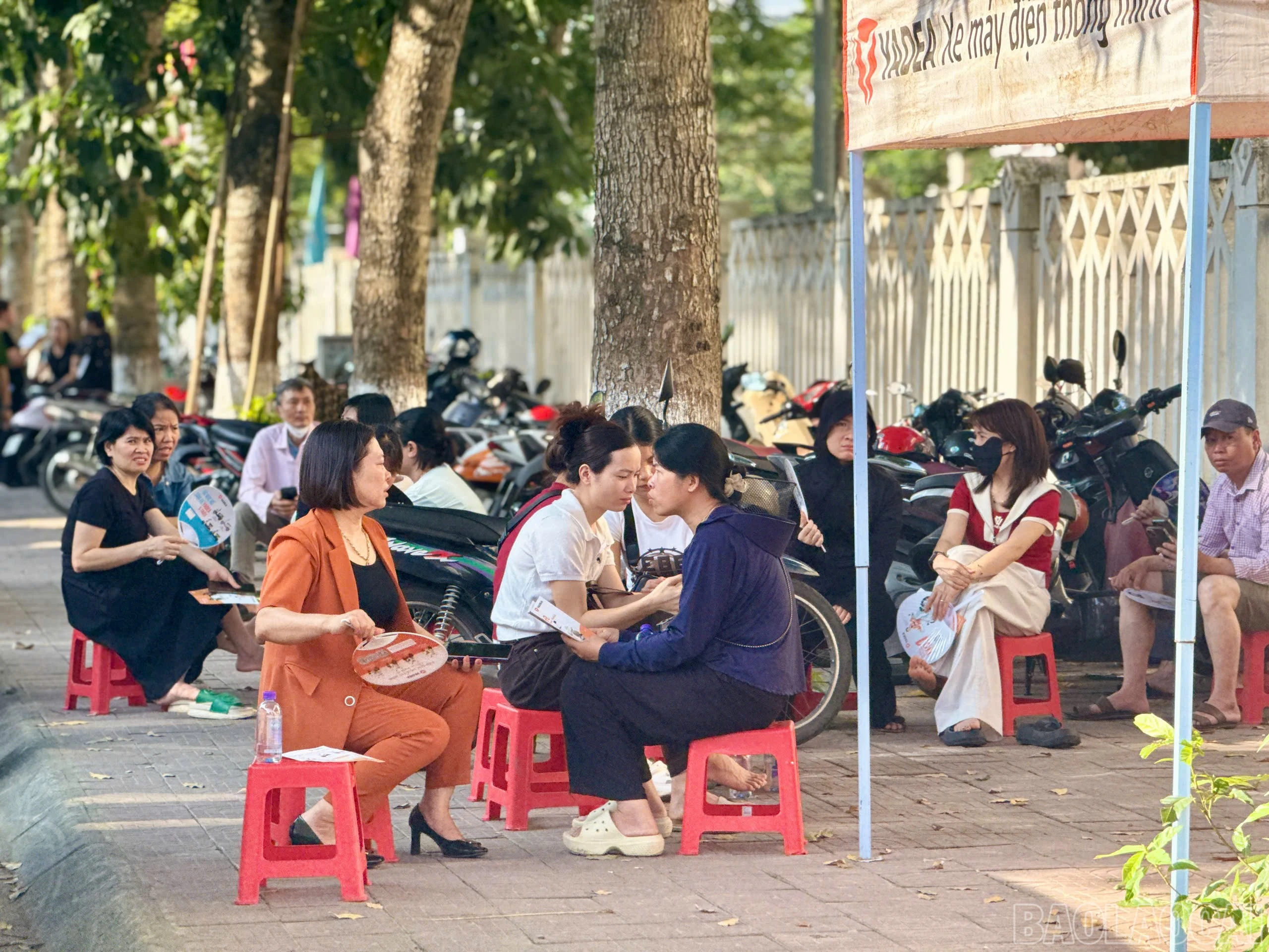 baolaocai-br_z7869559029714-d9e9ceacbbeb825b5a3a0288ea72f8e5.jpg